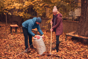Grabienie liści - robić czy nie?