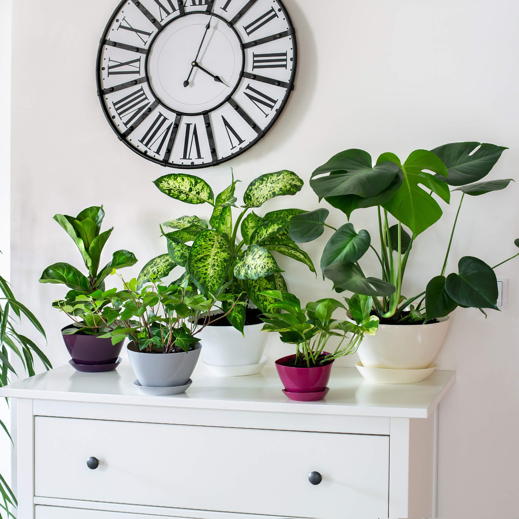 Doniczka trójkątna z podstawką 18 x 12 cm, biała