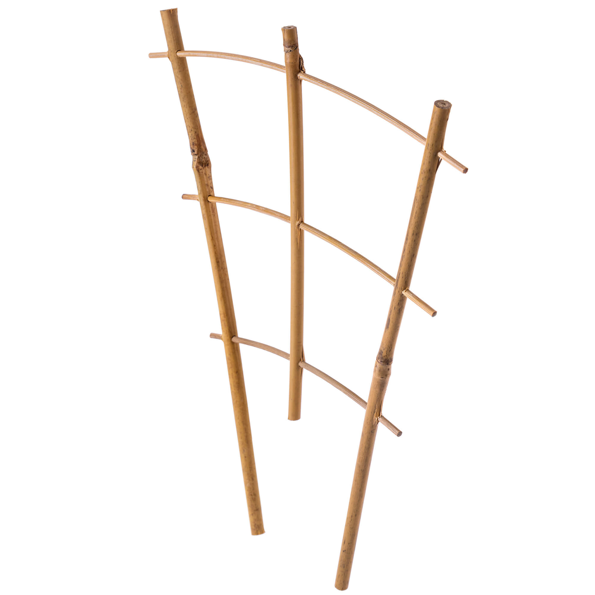 Drabinka bambusowa do roślin Taio 26 cm 5 szt.