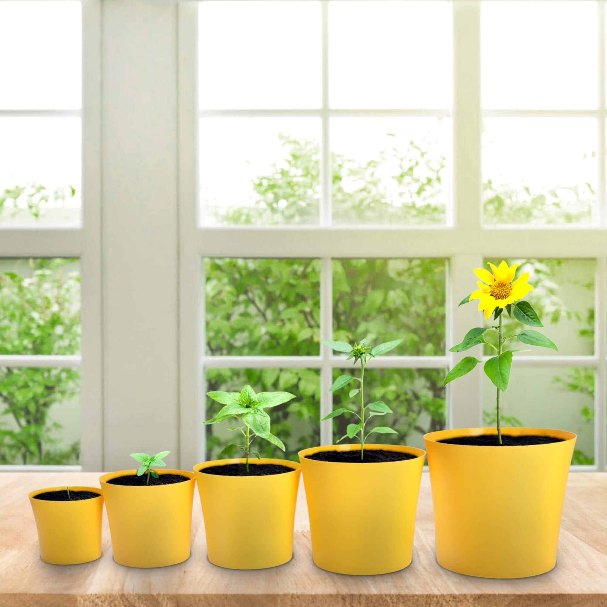 Doniczka na kwiaty Ersa 16 cm, żółta