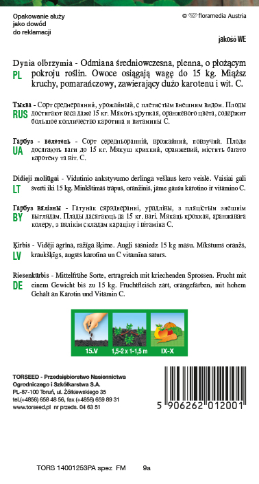 Dynia olbrzymia Bambino 5g