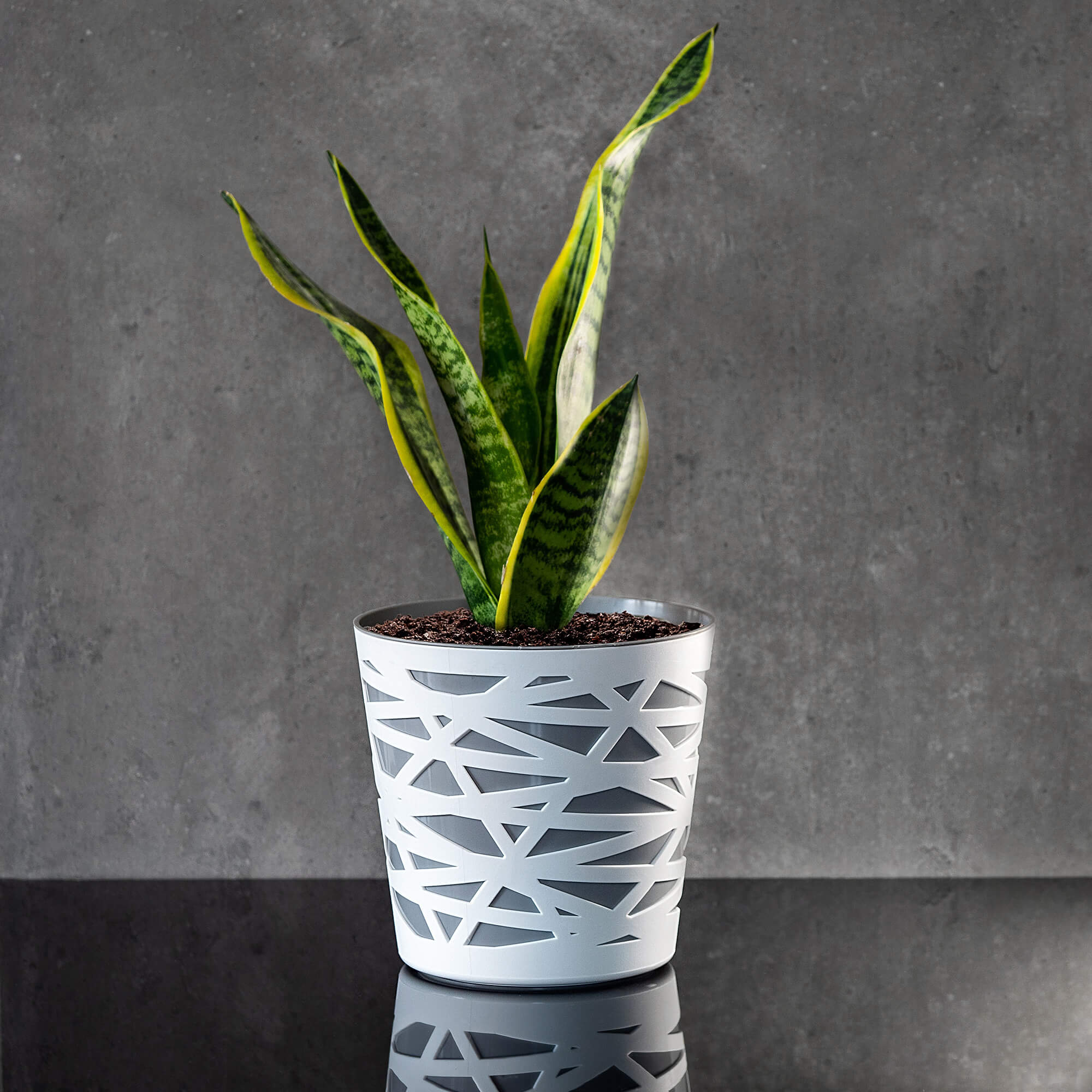 Doniczka z wkładem Rusio 13 cm, szara