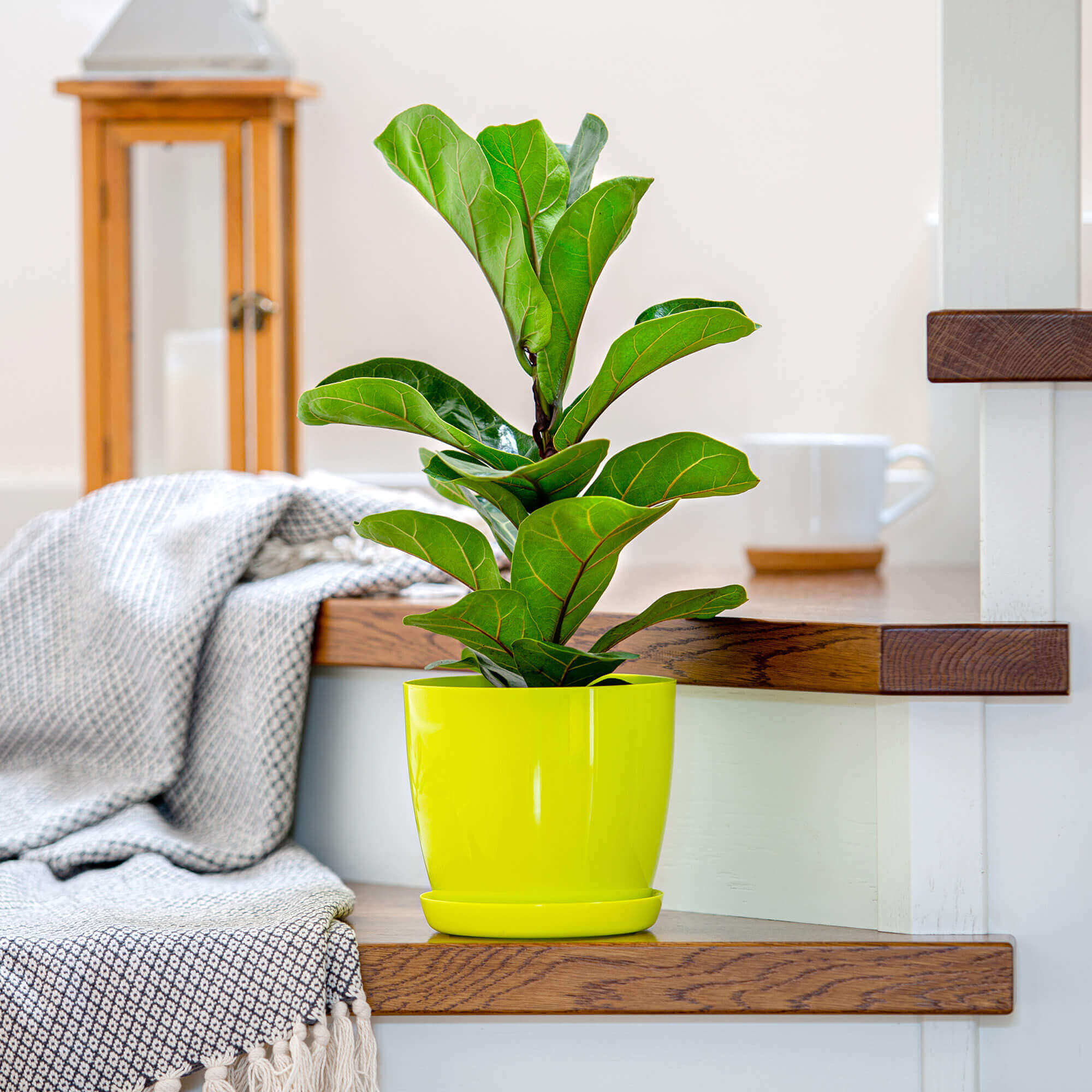 Doniczka na kwiaty z podstawką 28 cm, limonkowa