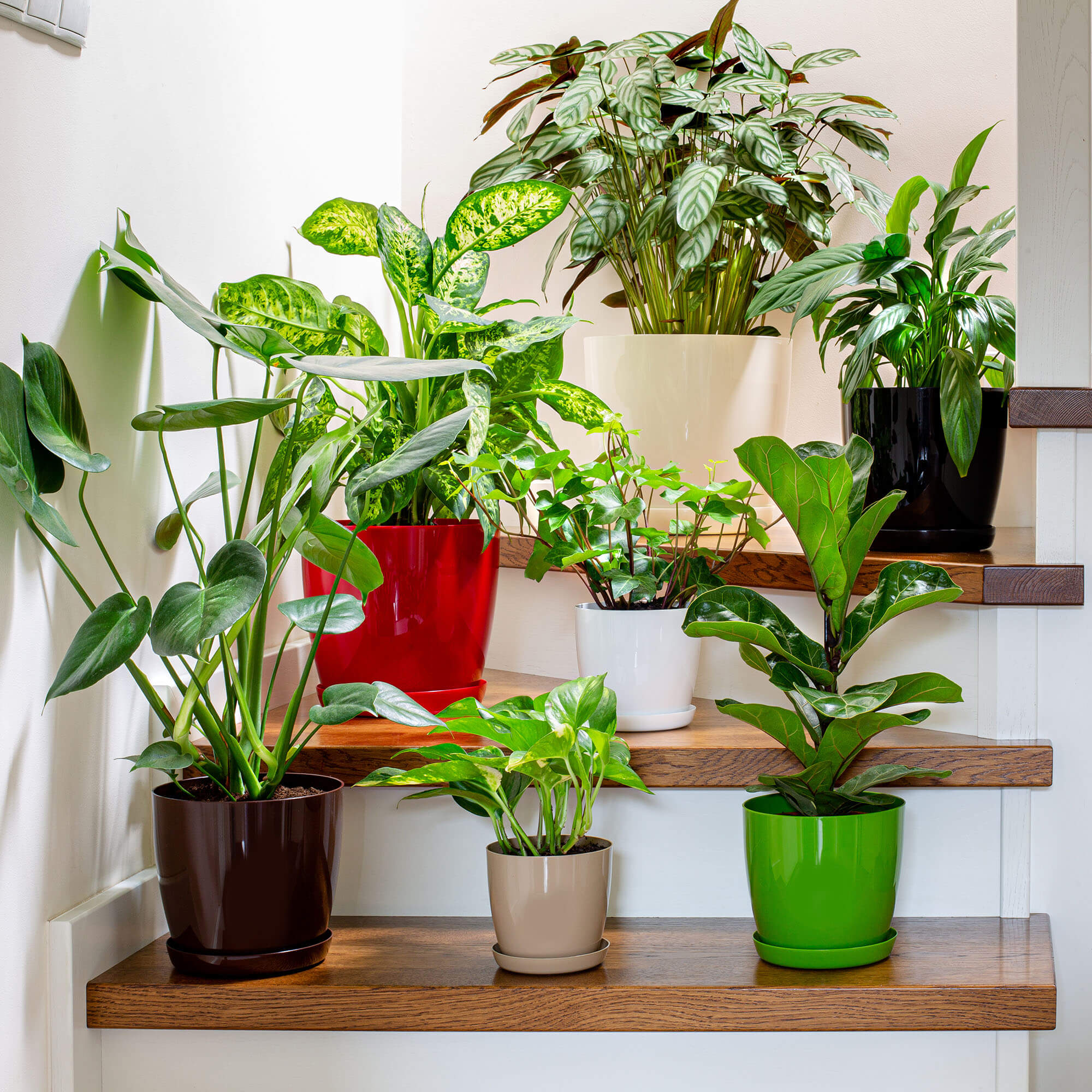 Doniczka na kwiaty z podstawką 20 cm, turkusowa