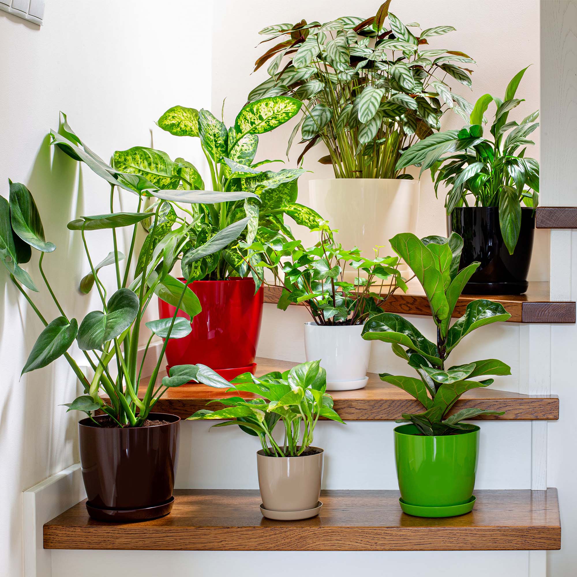 Doniczka Agen z podstawką szara 18 cm, 3 szt.