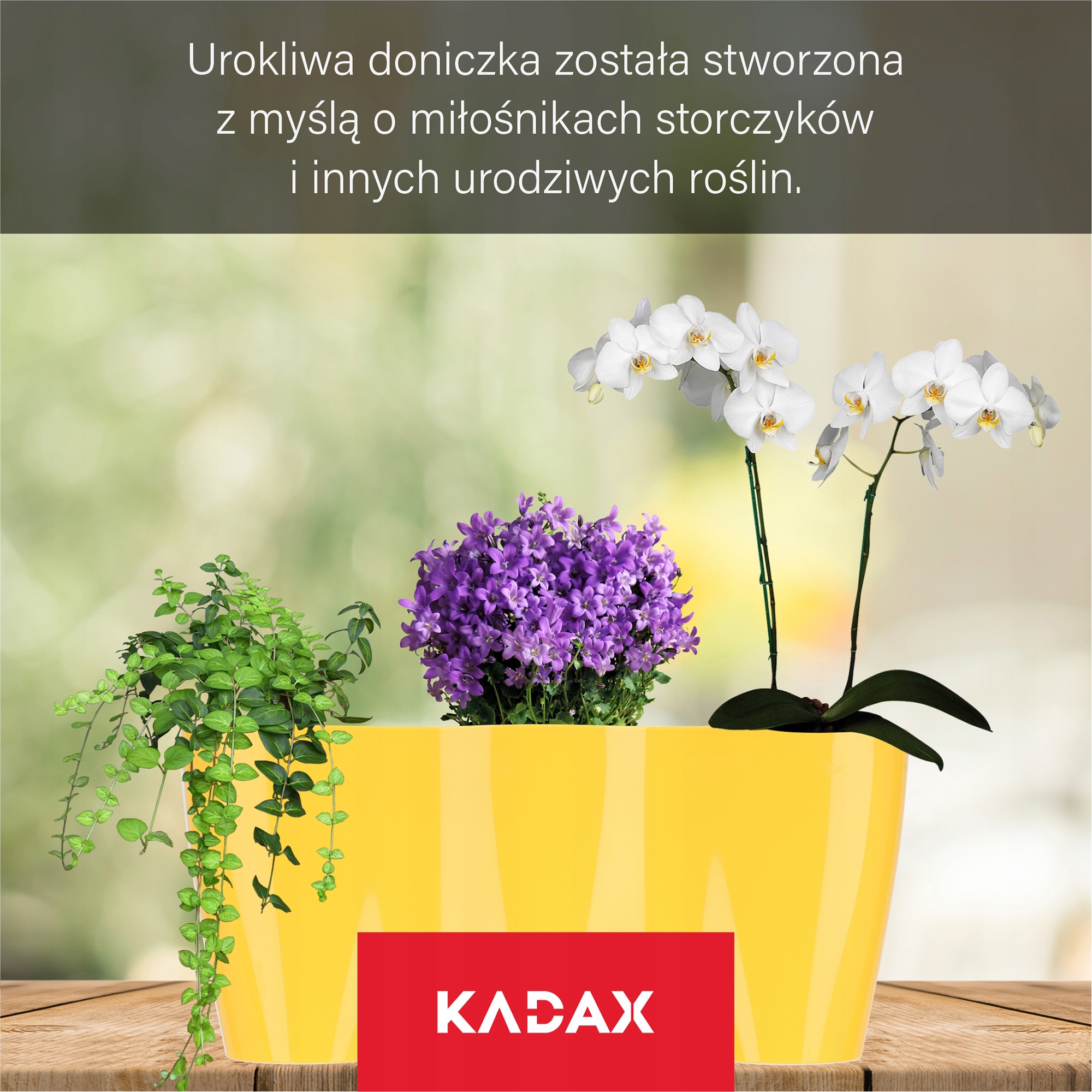 Doniczka do storczyków potrójna Fermo 35 x 15, żółta