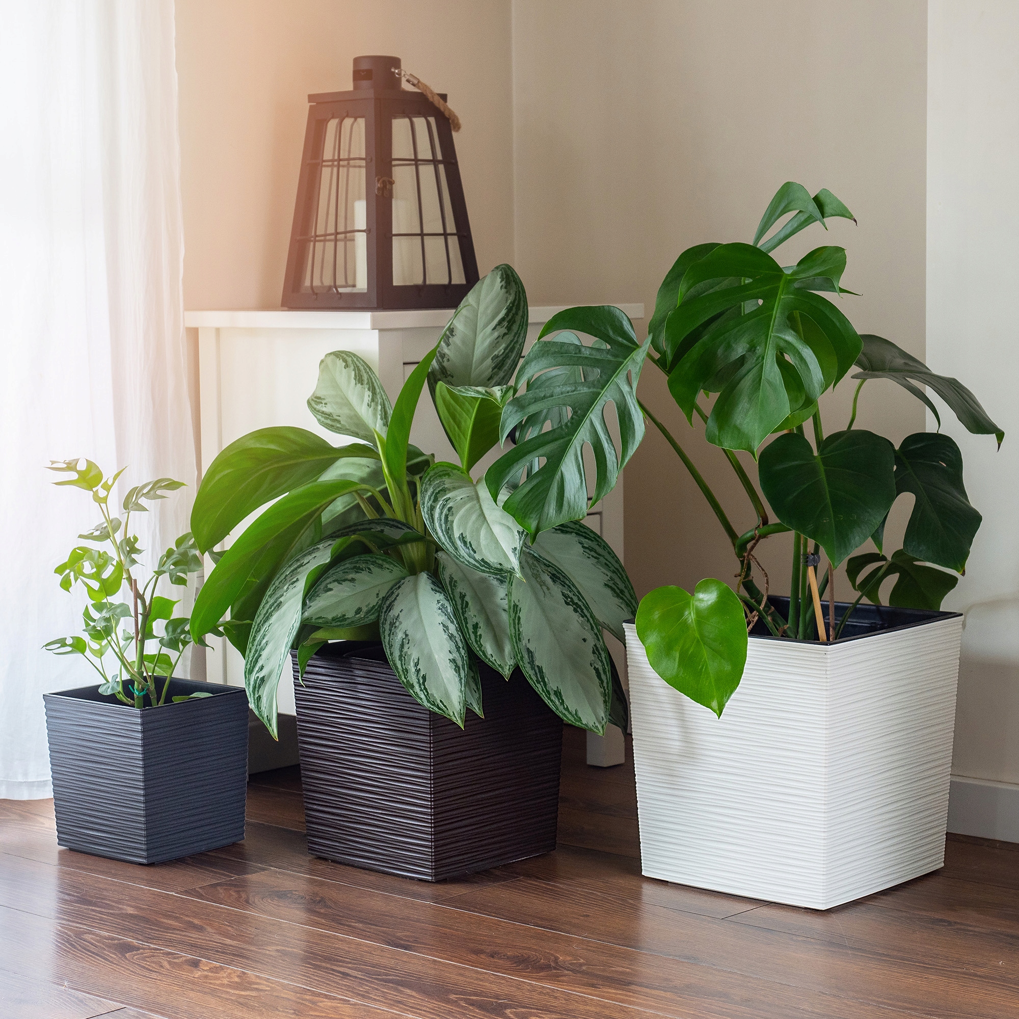 Donica na kwiaty Tres z wkładem dłuto 25 cm, kremowa