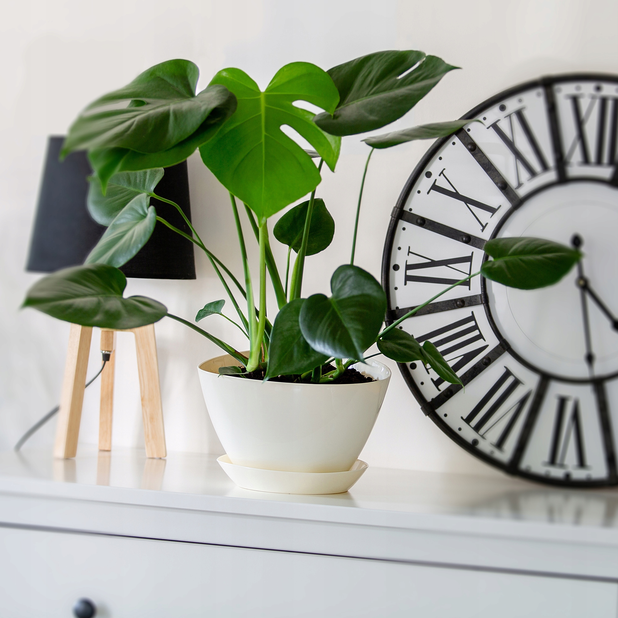 Doniczka trójkątna z podstawką 23 x 16 cm, kremowa