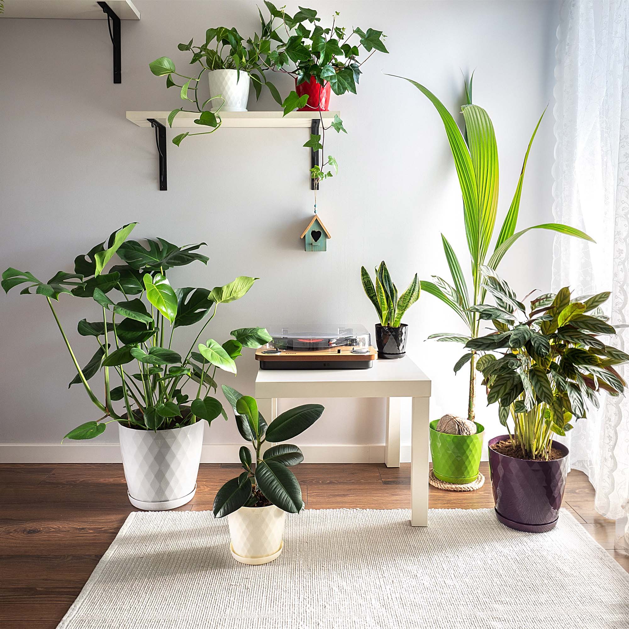 Doniczka na kwiaty z podstawką kremowa Amily 25 cm, 3 szt.