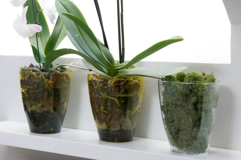 Doniczka kwadratowa Menfi 9 cm, zielona