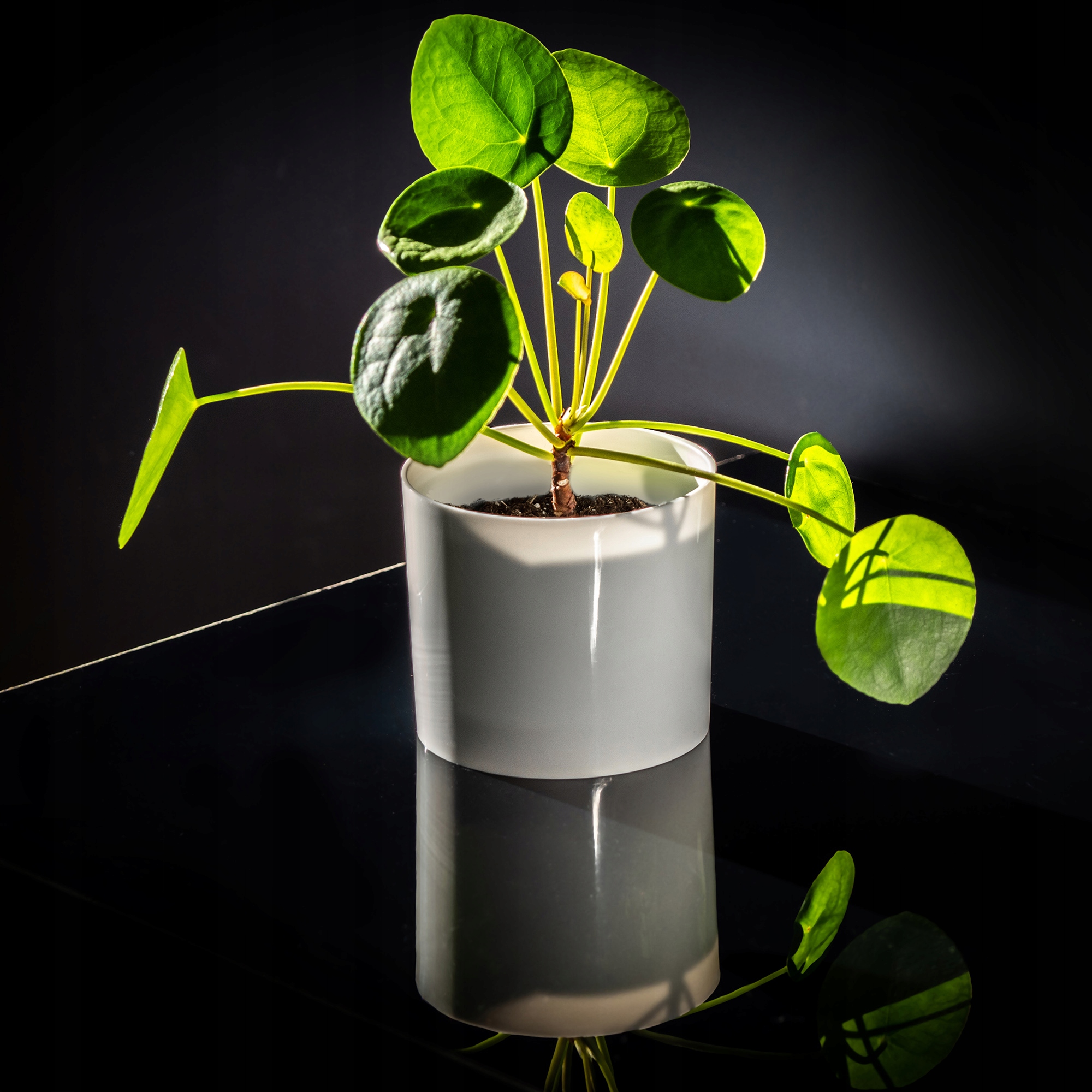 Doniczka na kwiaty okrągła Figari 11 cm, biała