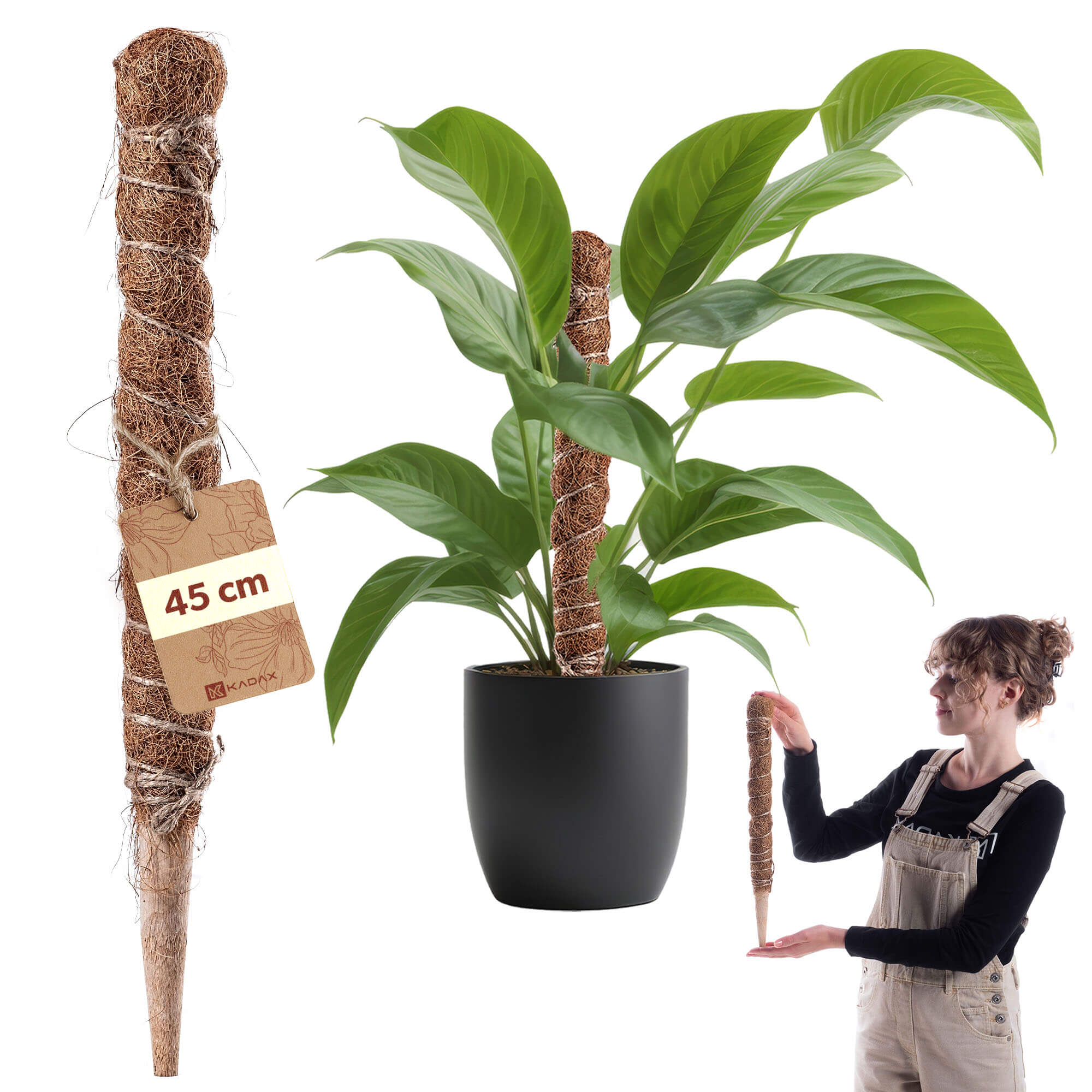 Tyczka do roślin kokosowa Cande 45 cm podpora doniczkowa 1 szt.