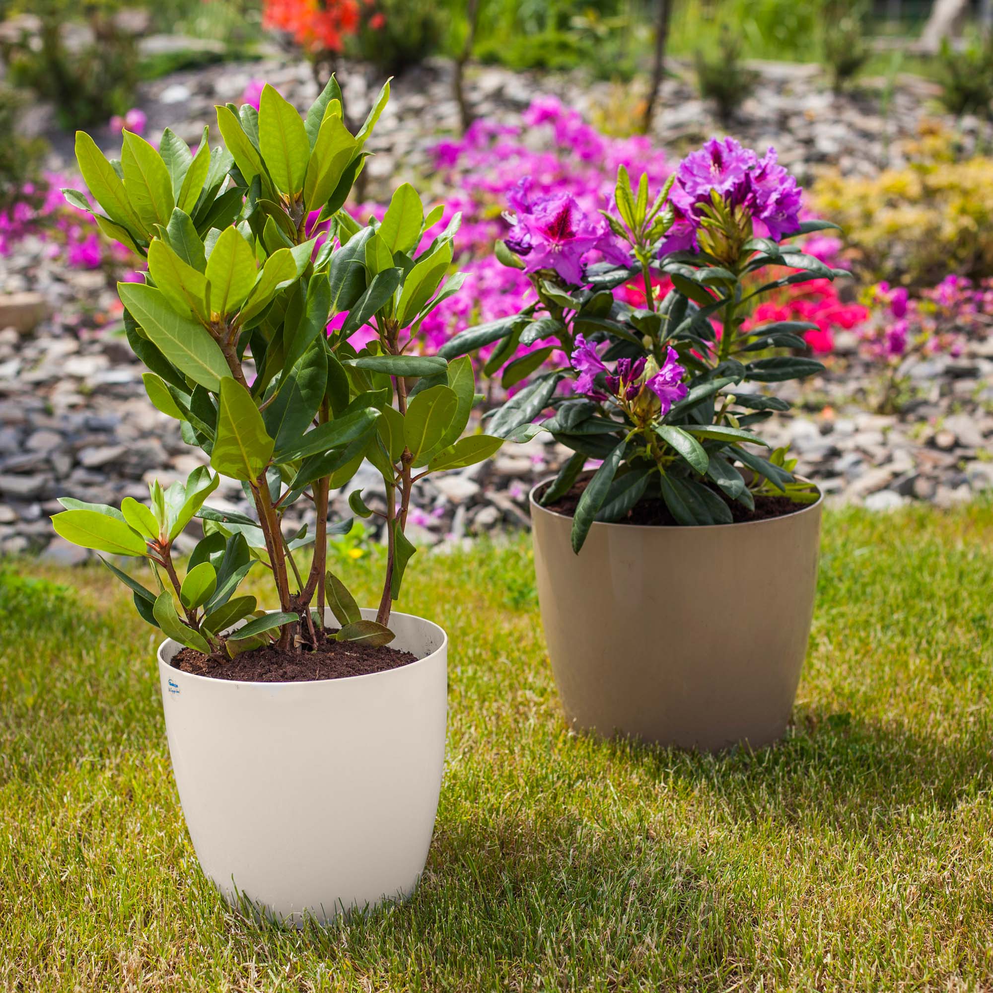 Doniczka Agen z podstawką kremowa 28 cm, 3 szt.