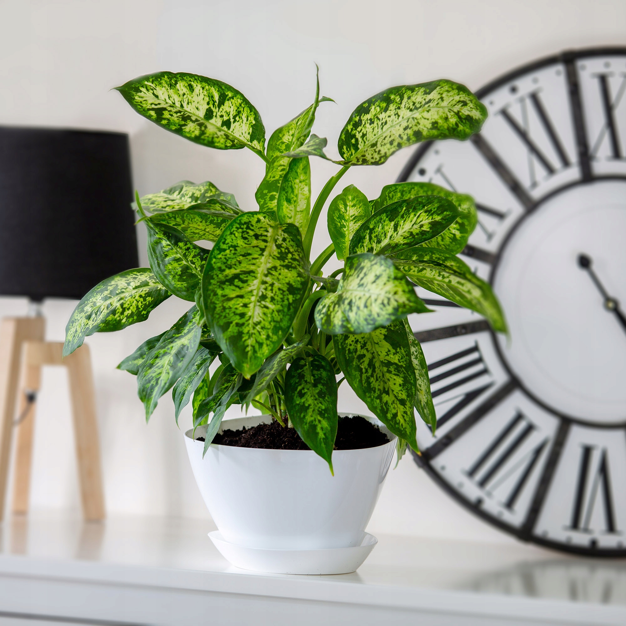 Doniczka trójkątna z podstawką 14 x 10 cm, kremowa