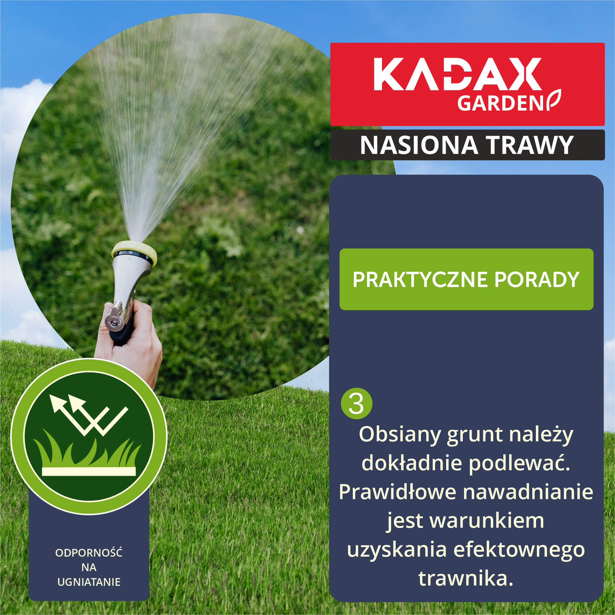 Trawa ozdobna 10 kg