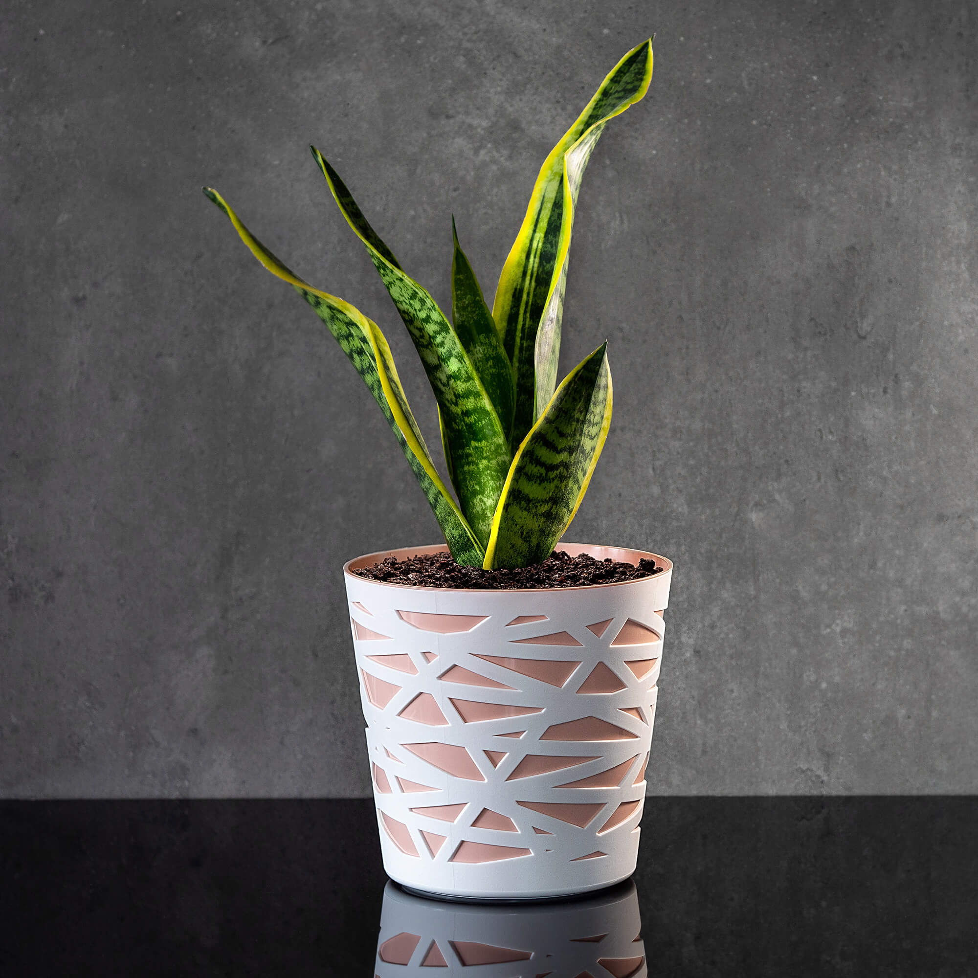 Doniczka z wkładem Rusio 19 cm, beżowa