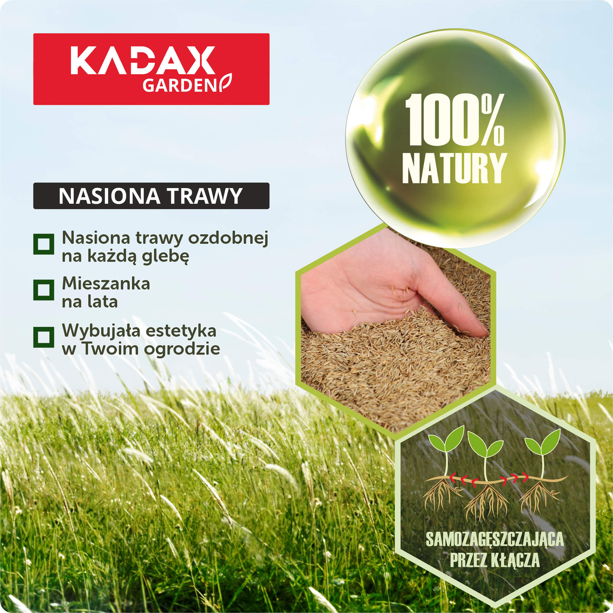 Trawa ozdobna 10 kg