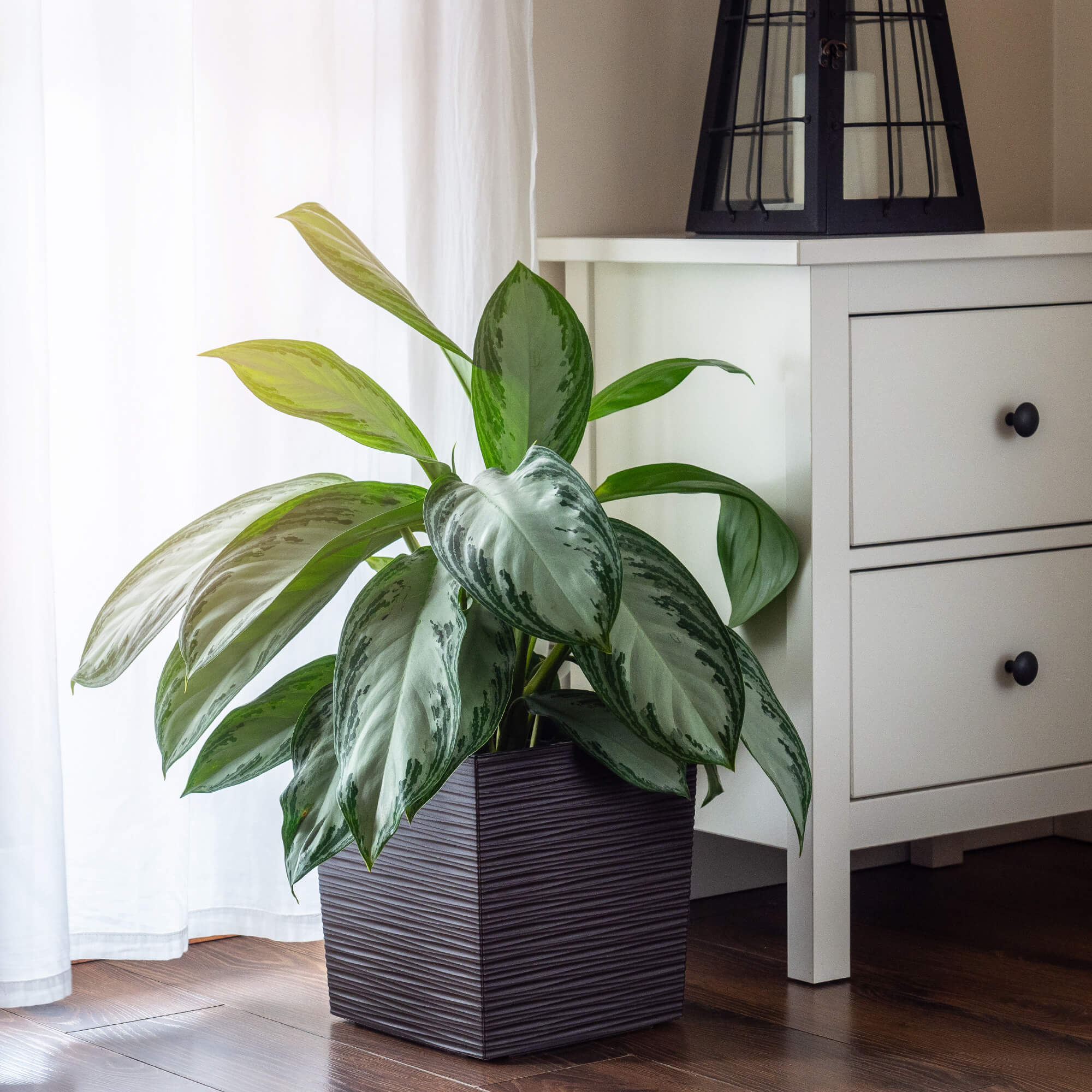 Donica na kwiaty Tres z wkładem dłuto 19 cm, mokka