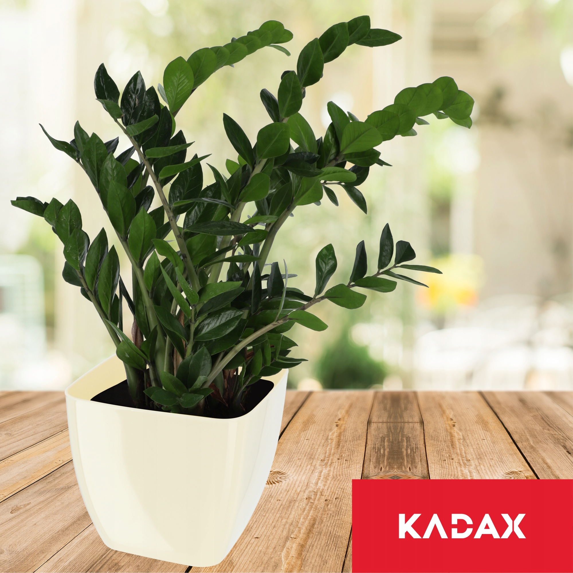 Doniczka kwadratowa Borgo 20 cm, kremowa