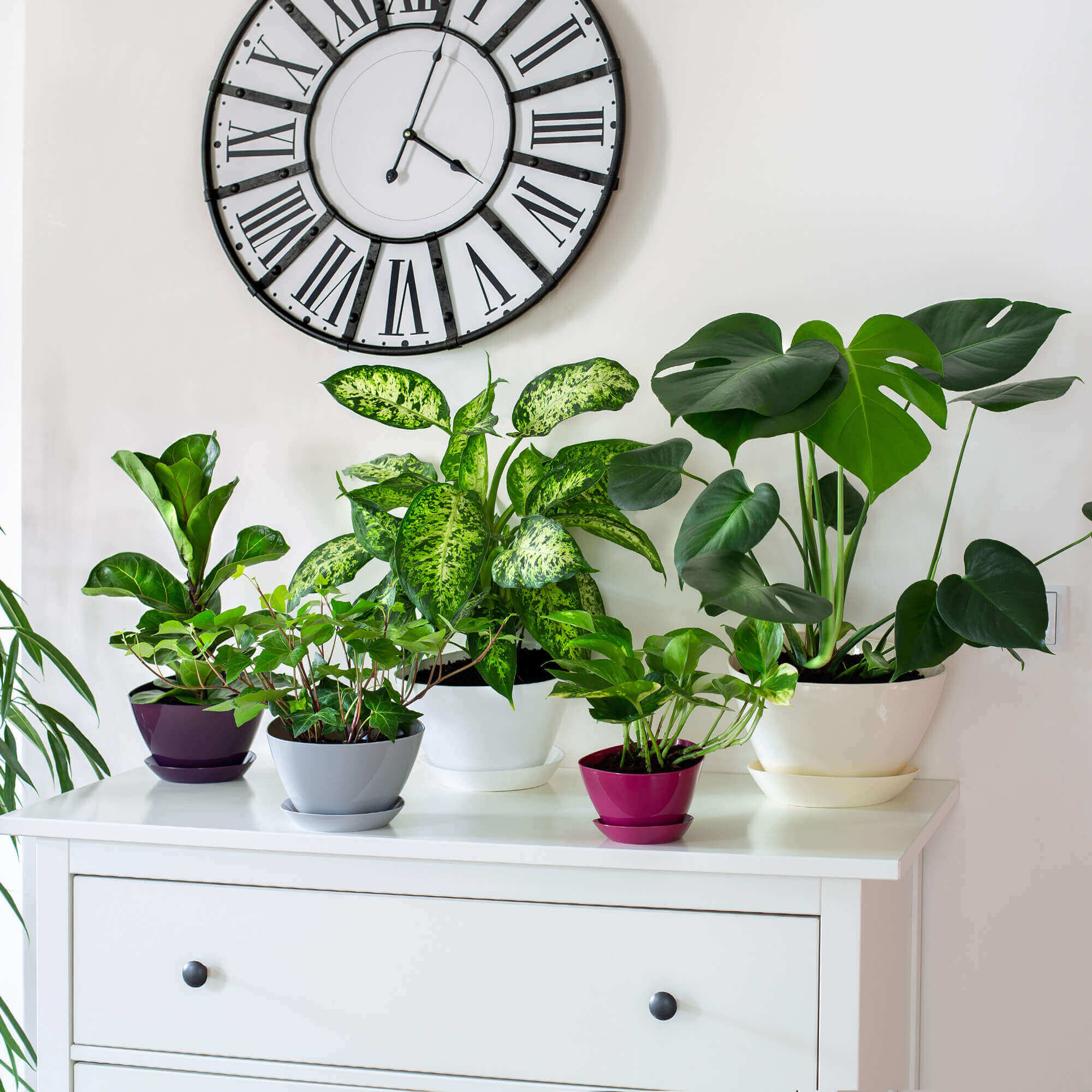 Doniczka trójkątna z podstawką 23 x 16 cm, szara