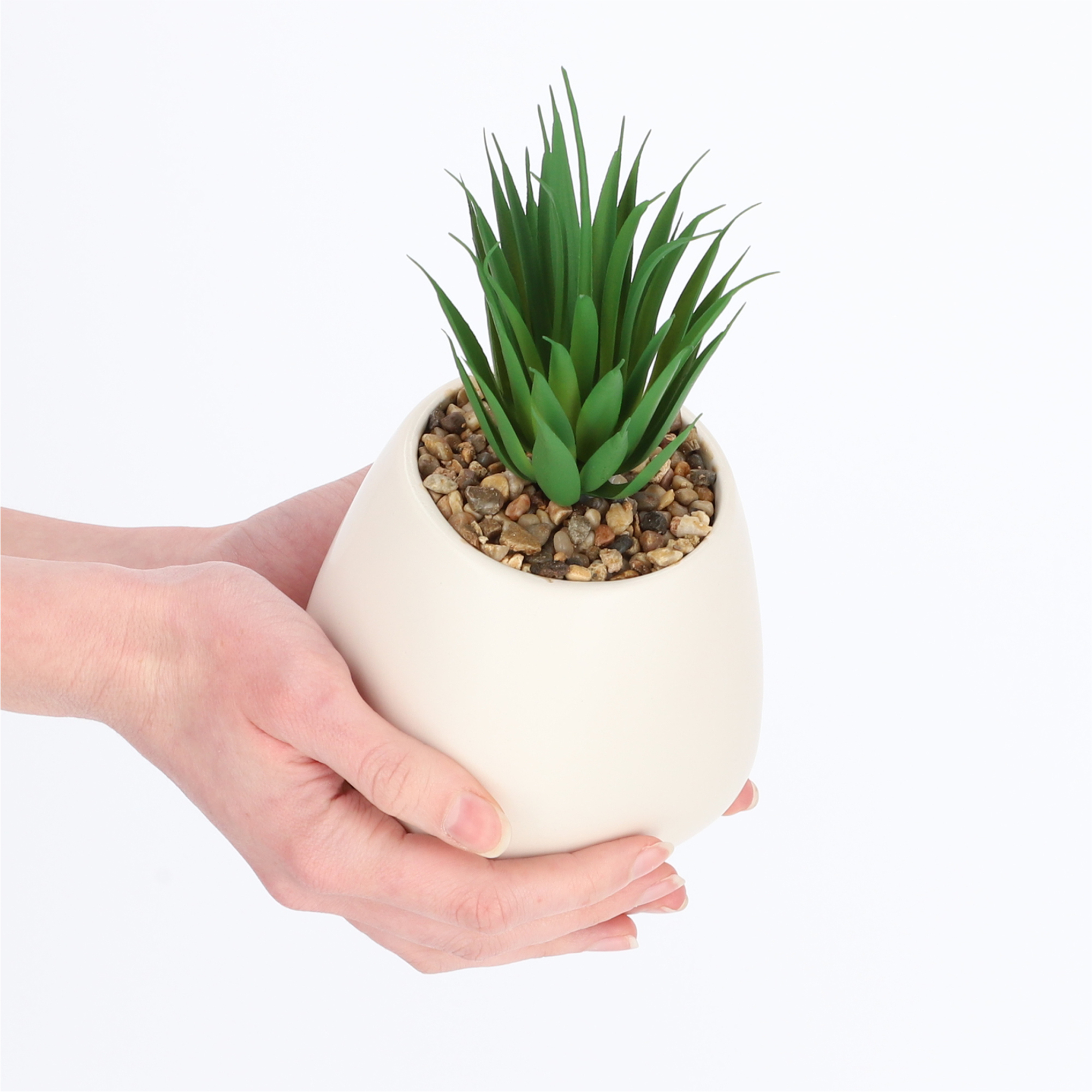 Sztuczny sukulent, 10,5 cm, biały