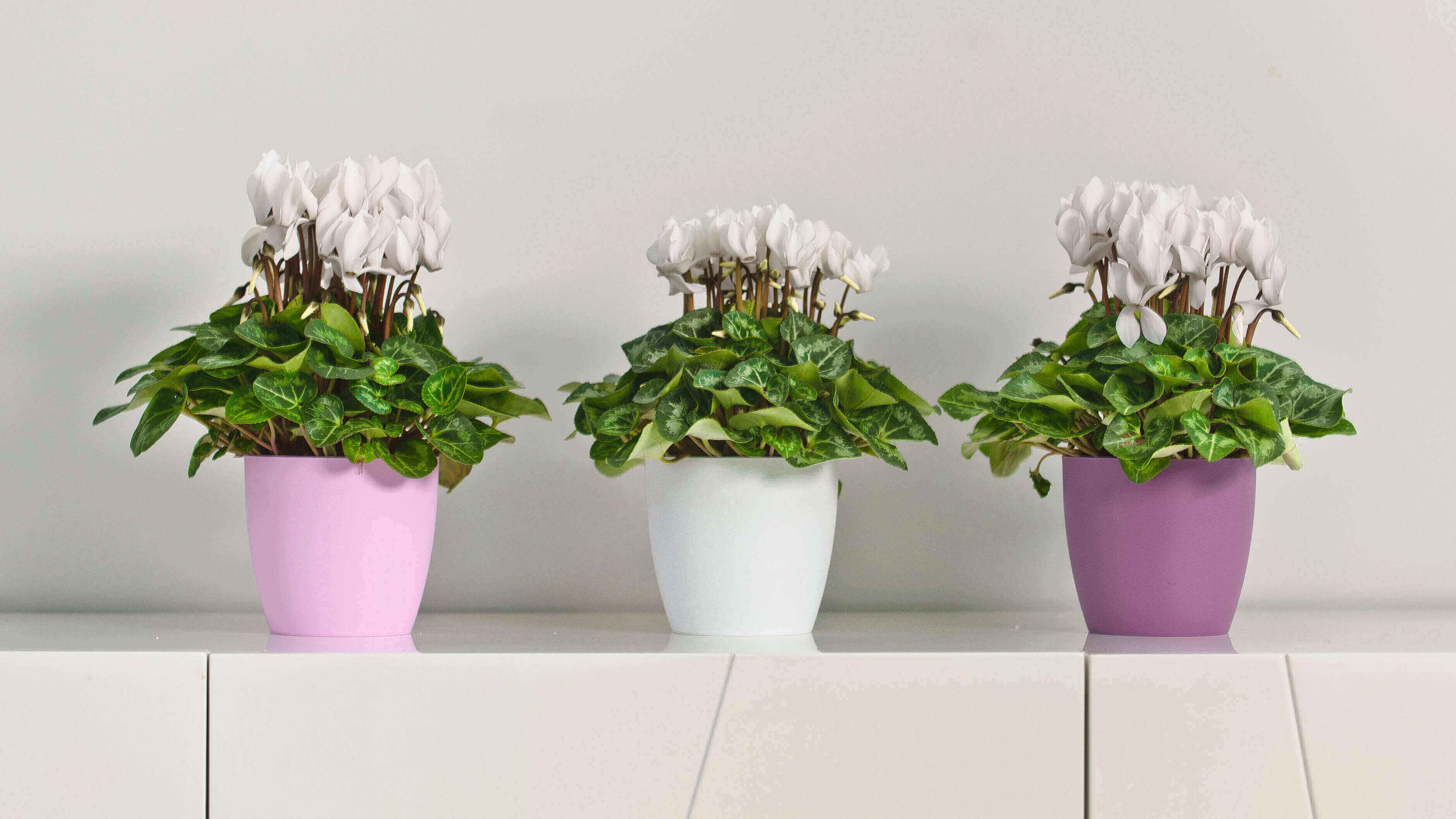 Doniczka Agen z podstawką 16 cm, matowa biała