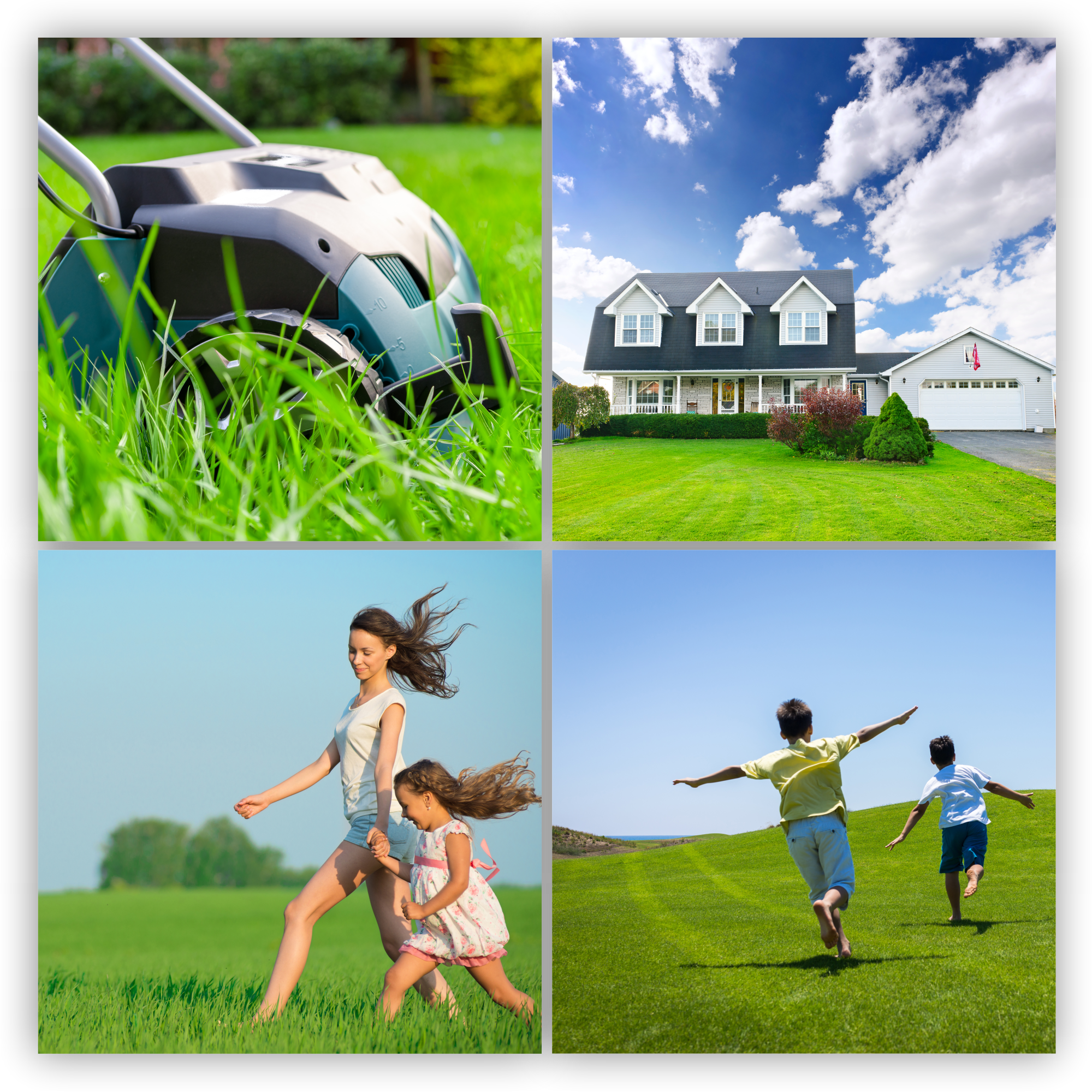 Trawa uniwersalna Riset szybko zagęszczająca 2 kg 100 m2