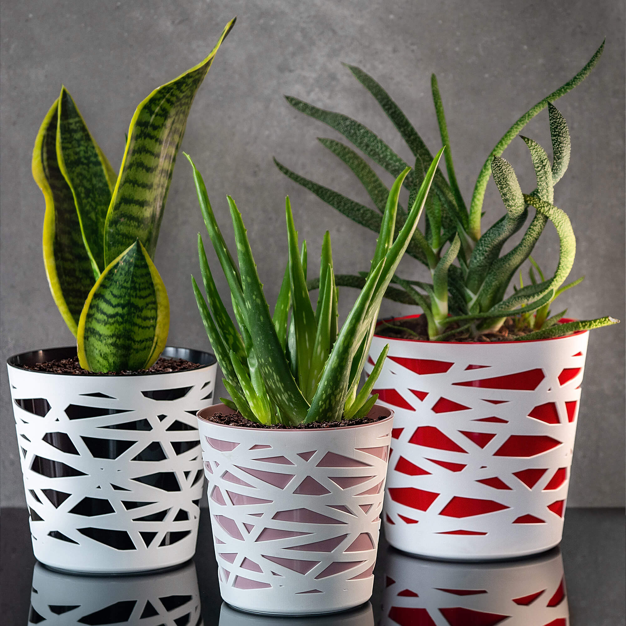 Doniczka z wkładem Rusio 15 cm, czerwona