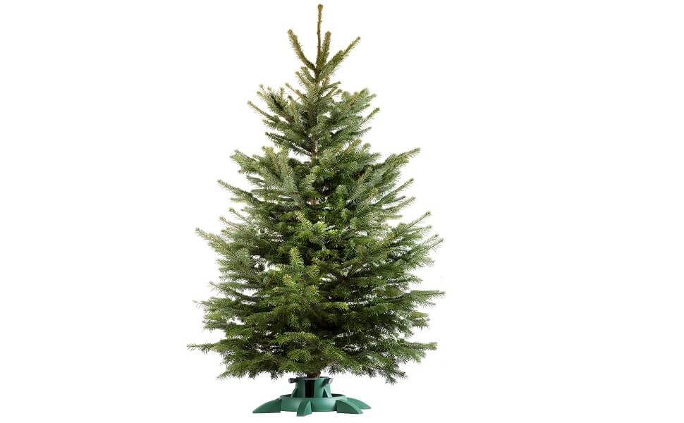 Stojak na choinkę 60cm zielony
