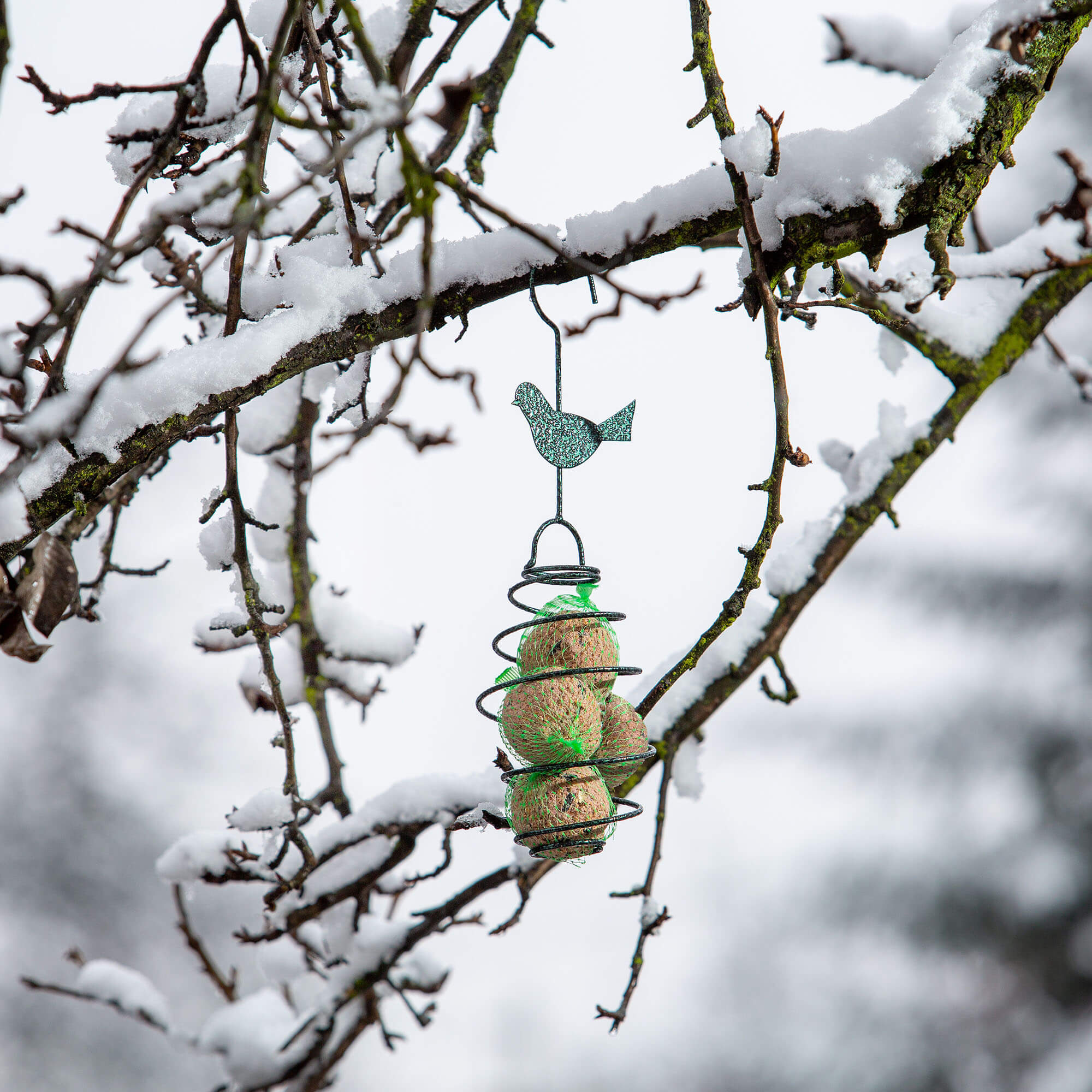Karmnik dla ptaków 32 x 9 cm, sprężynka