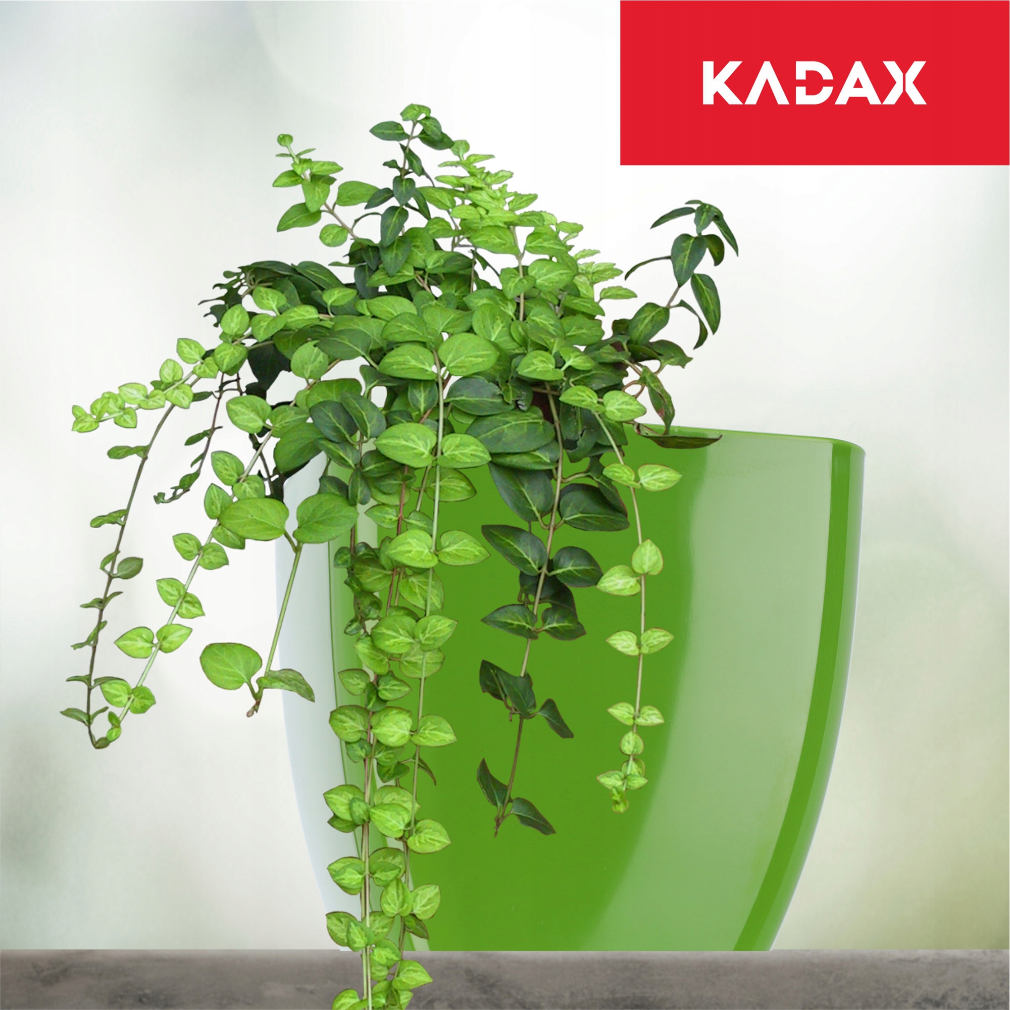 Doniczka kwadratowa Borgo 14 cm, zielona