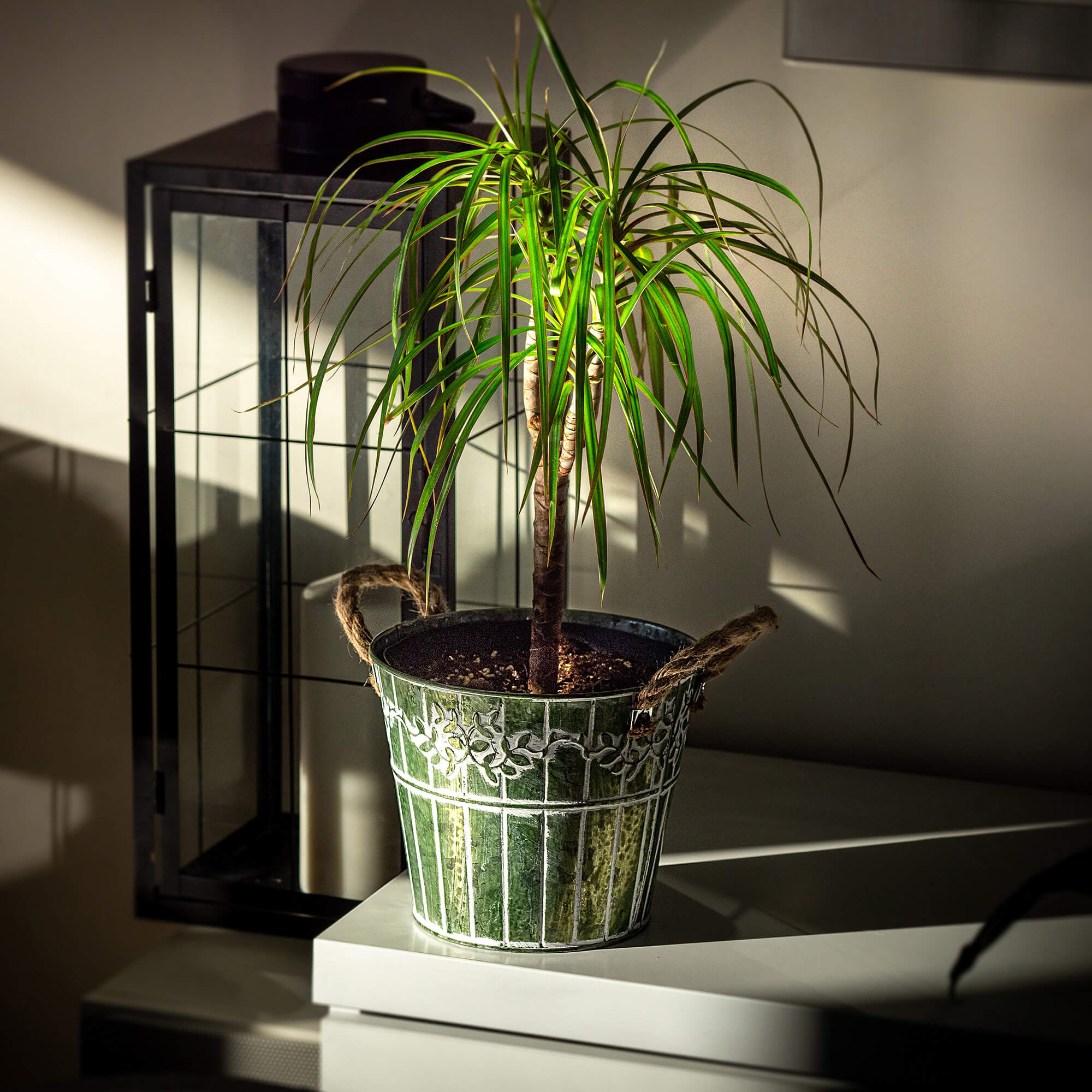 Osłonka na kwiaty okrągła Pino 18 cm, zielona