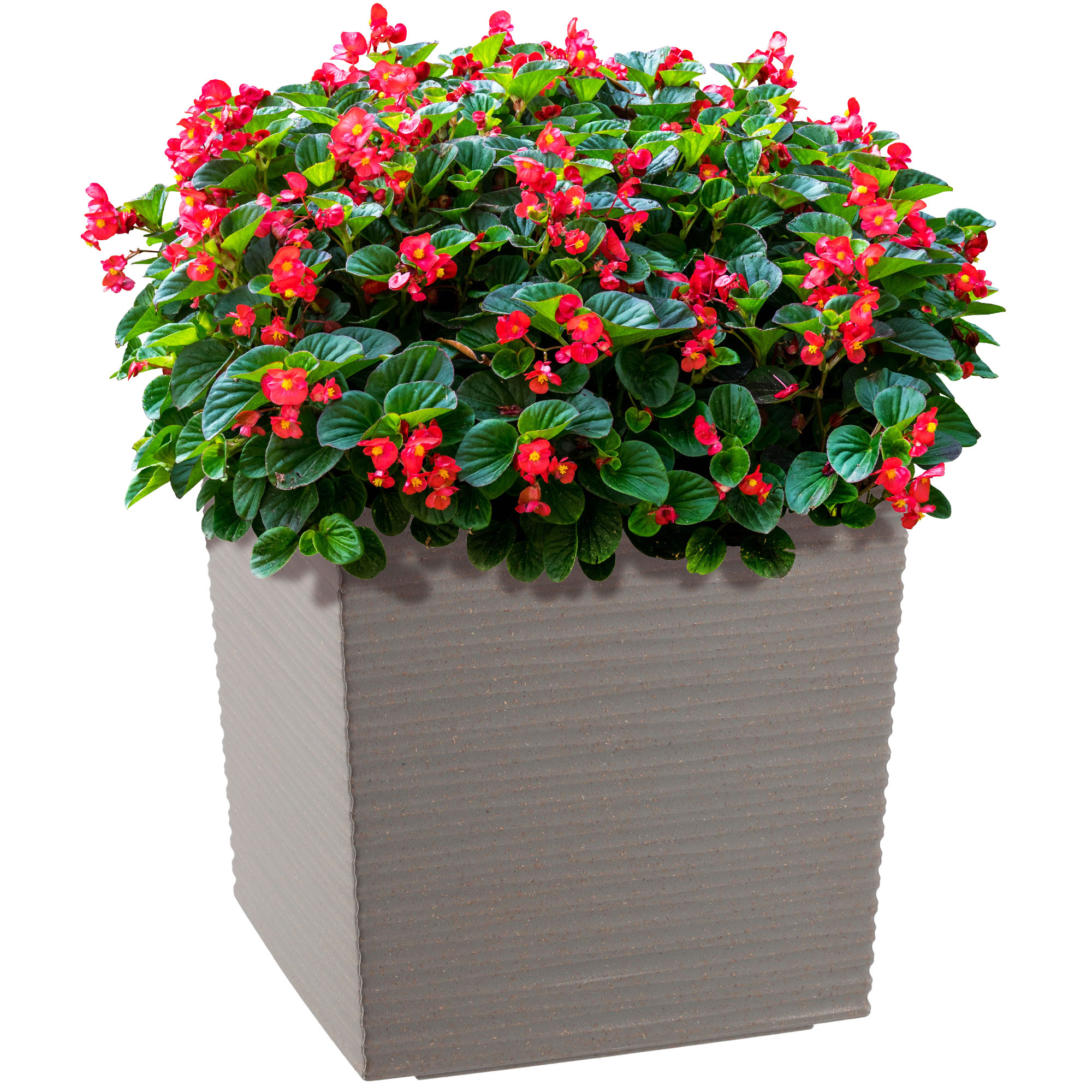 Doniczka na kwiaty z wkładem dłuto 19 cm, szary