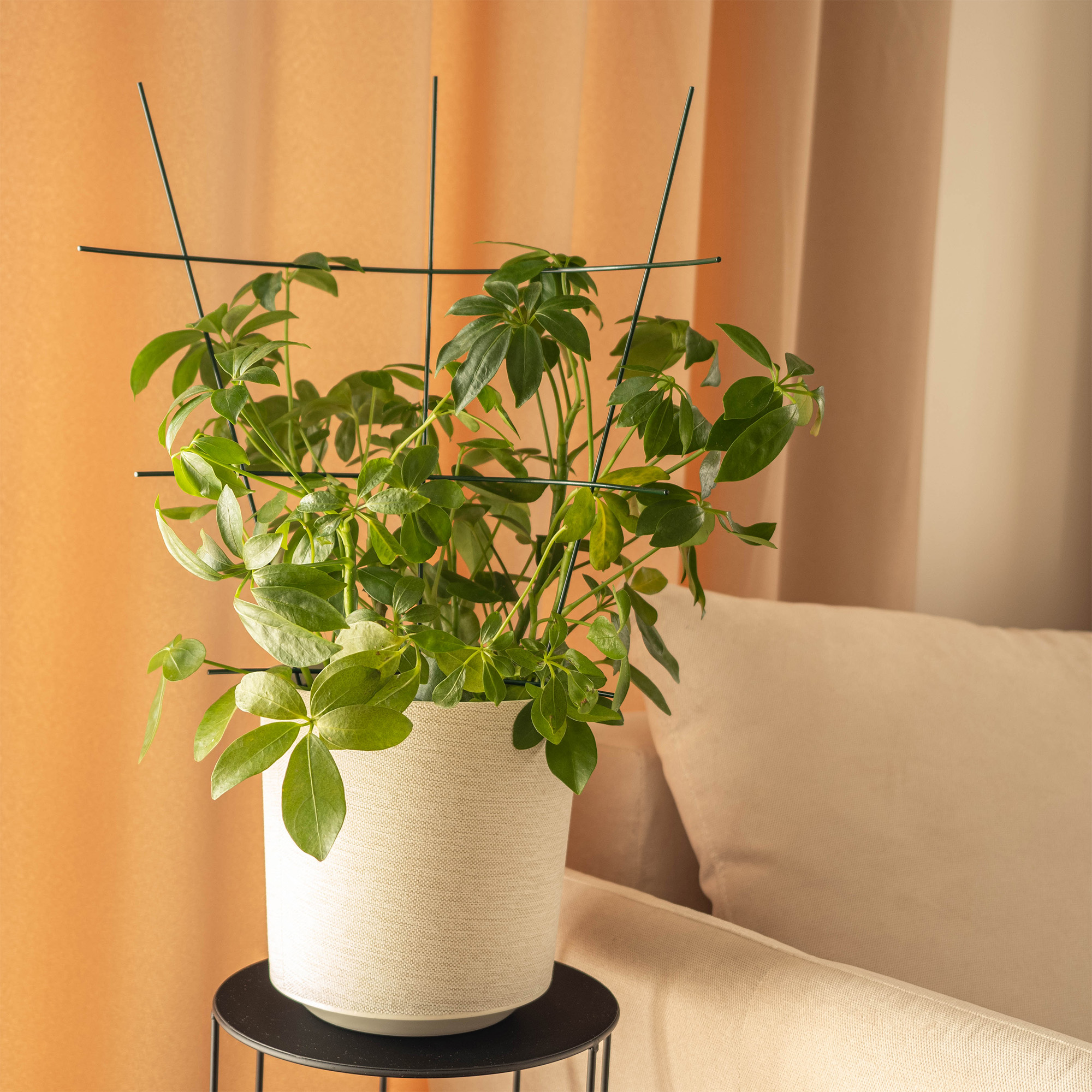 Podpora doniczkowa do roślin zielona Chieti, 3 szt.