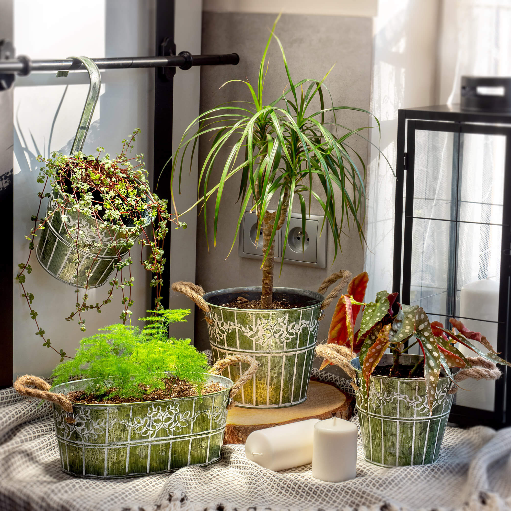 Osłonka na kwiaty okrągła 13 x 12 cm, zielona