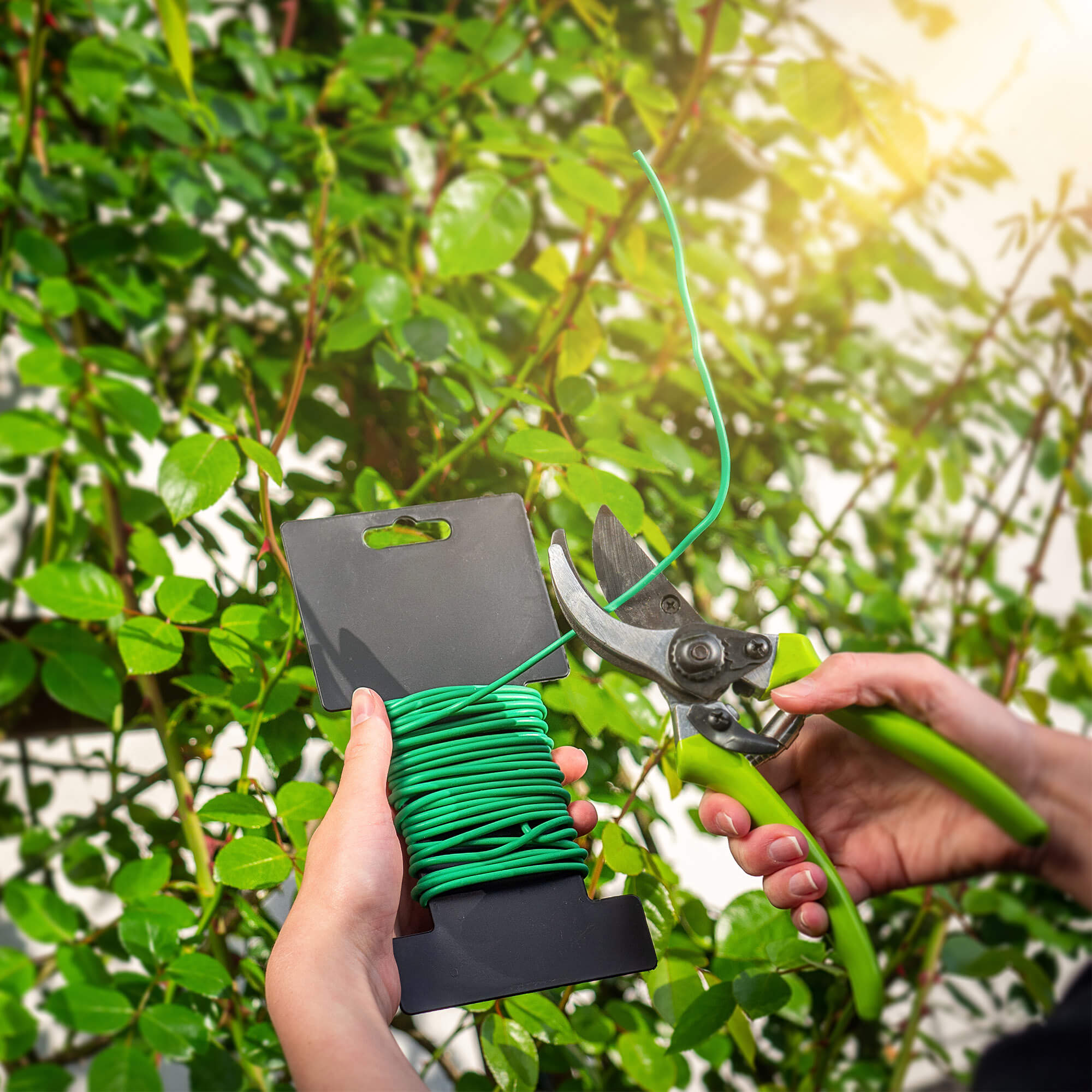 Opaska skręcana do roślin Draix TPR 5 m