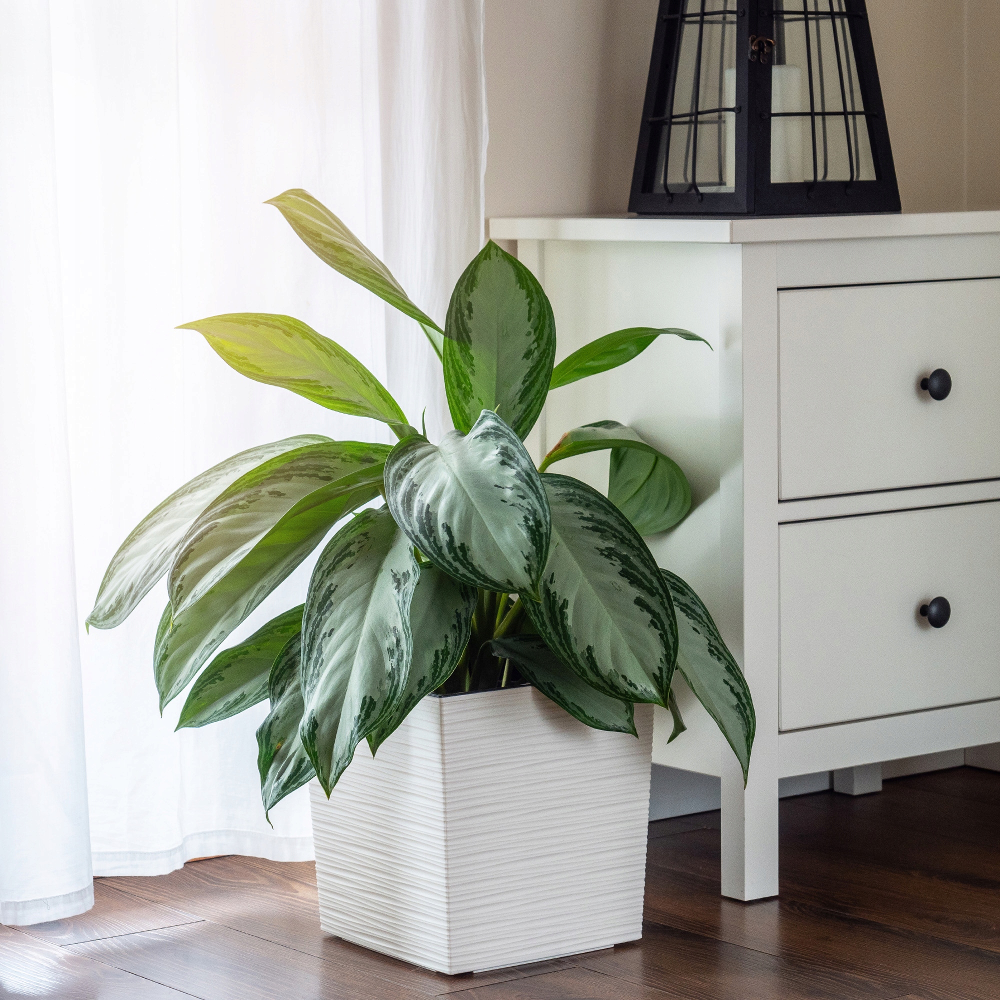 Donica na kwiaty Tres z wkładem dłuto 25 cm, kremowa