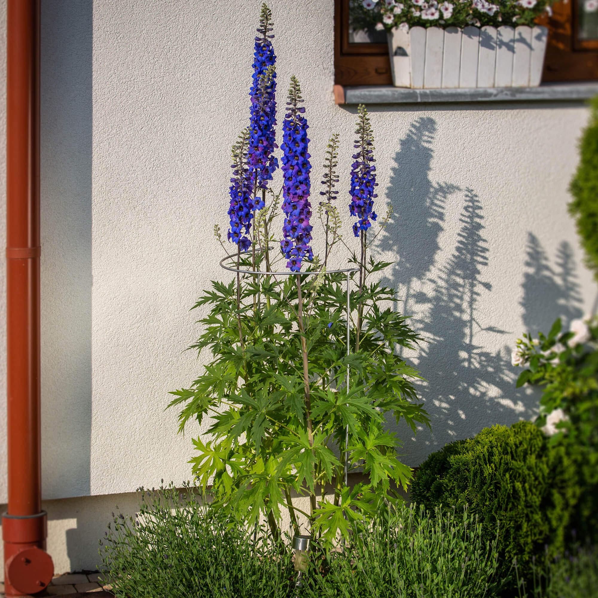 Podpora do roślin metalowa 100 x 38 cm