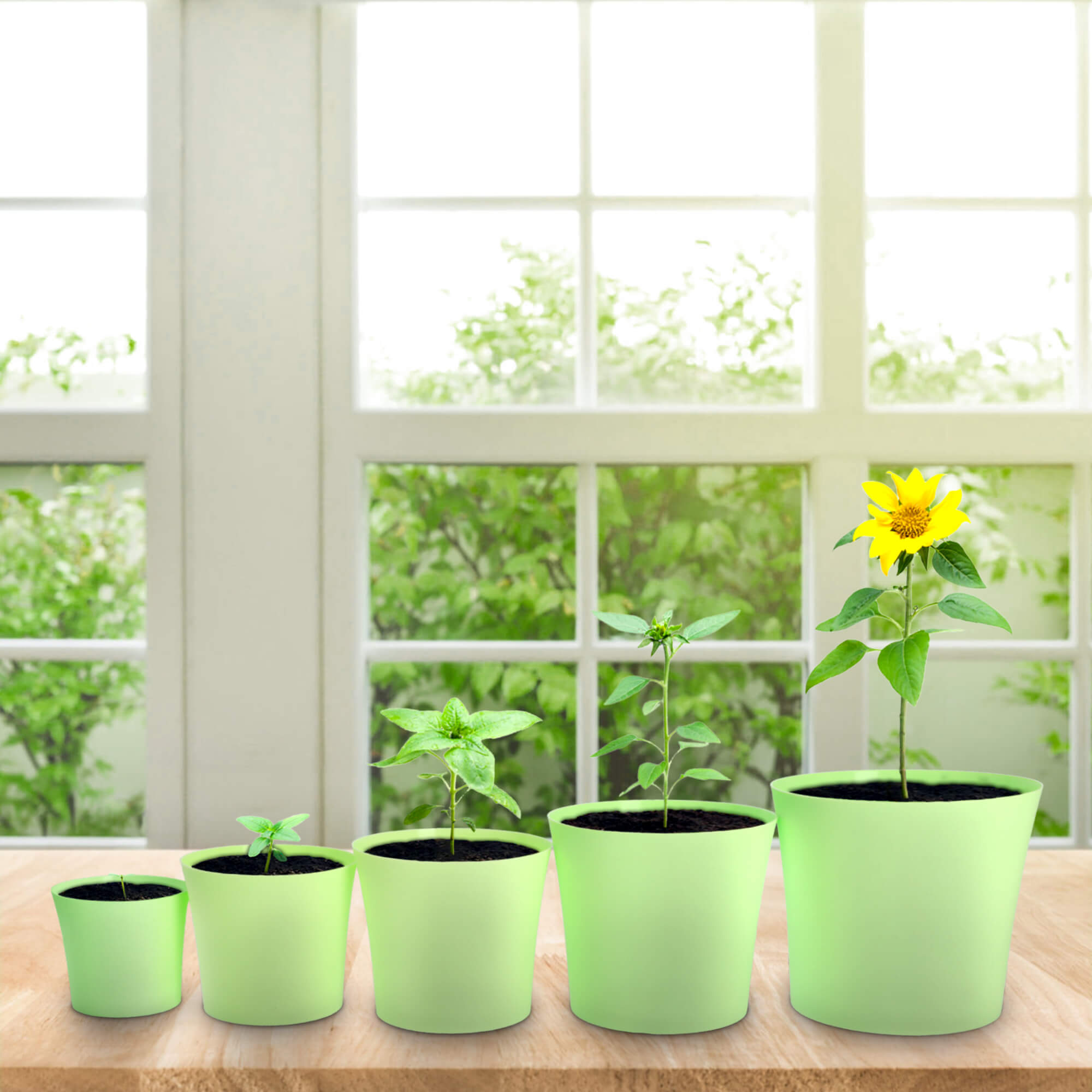 Doniczka na kwiaty Ersa 12 cm, pastelowa zieleń