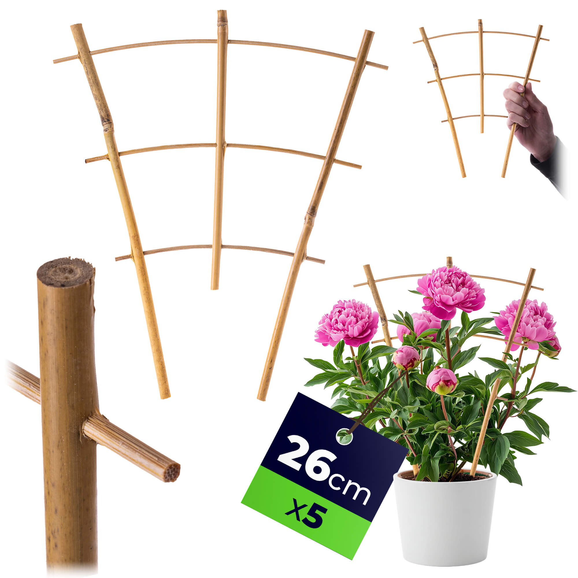 Drabinka bambusowa do roślin Taio 26 cm 5 szt.