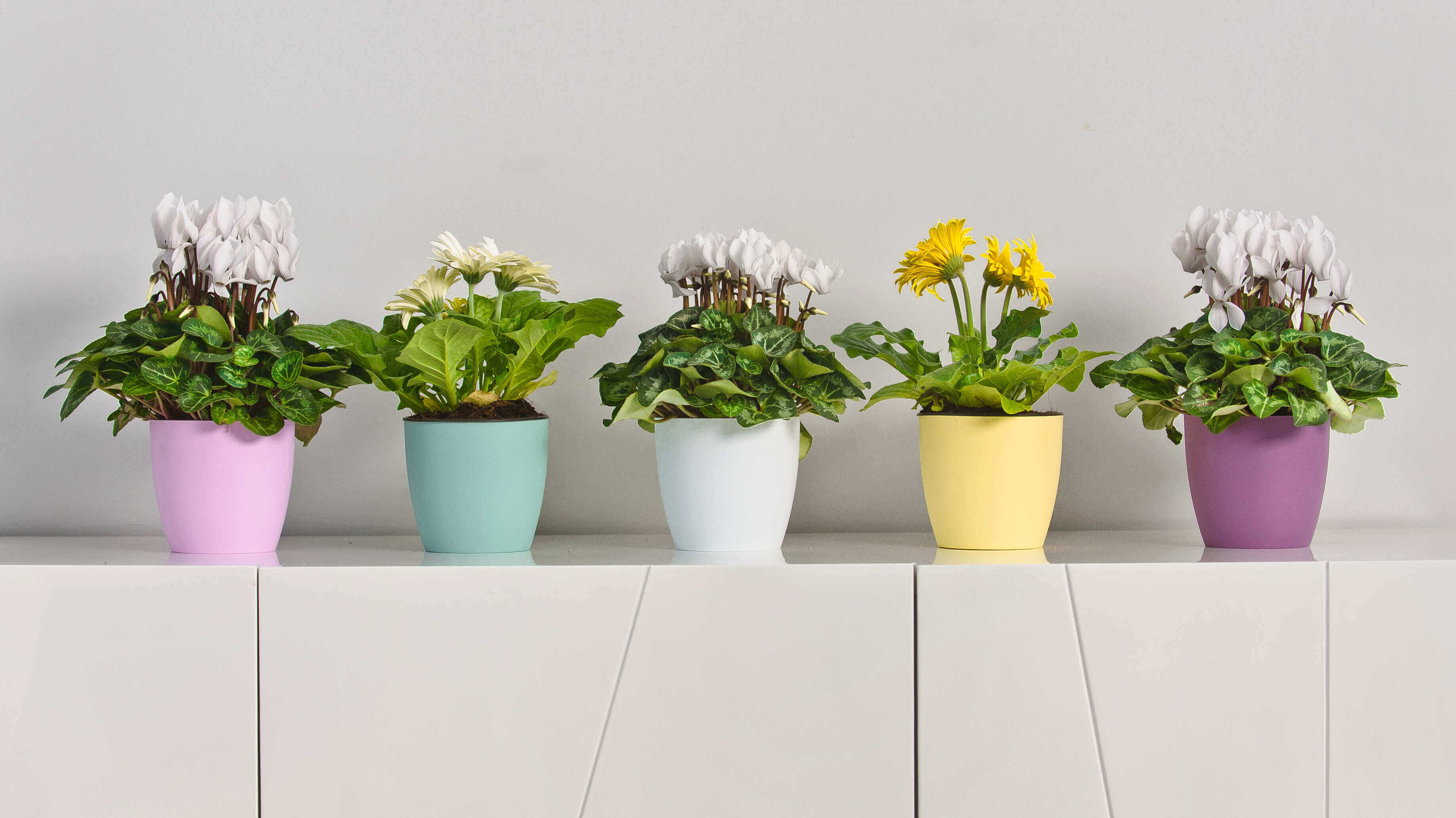 Doniczka Agen z podstawką 20 cm, matowa żółta