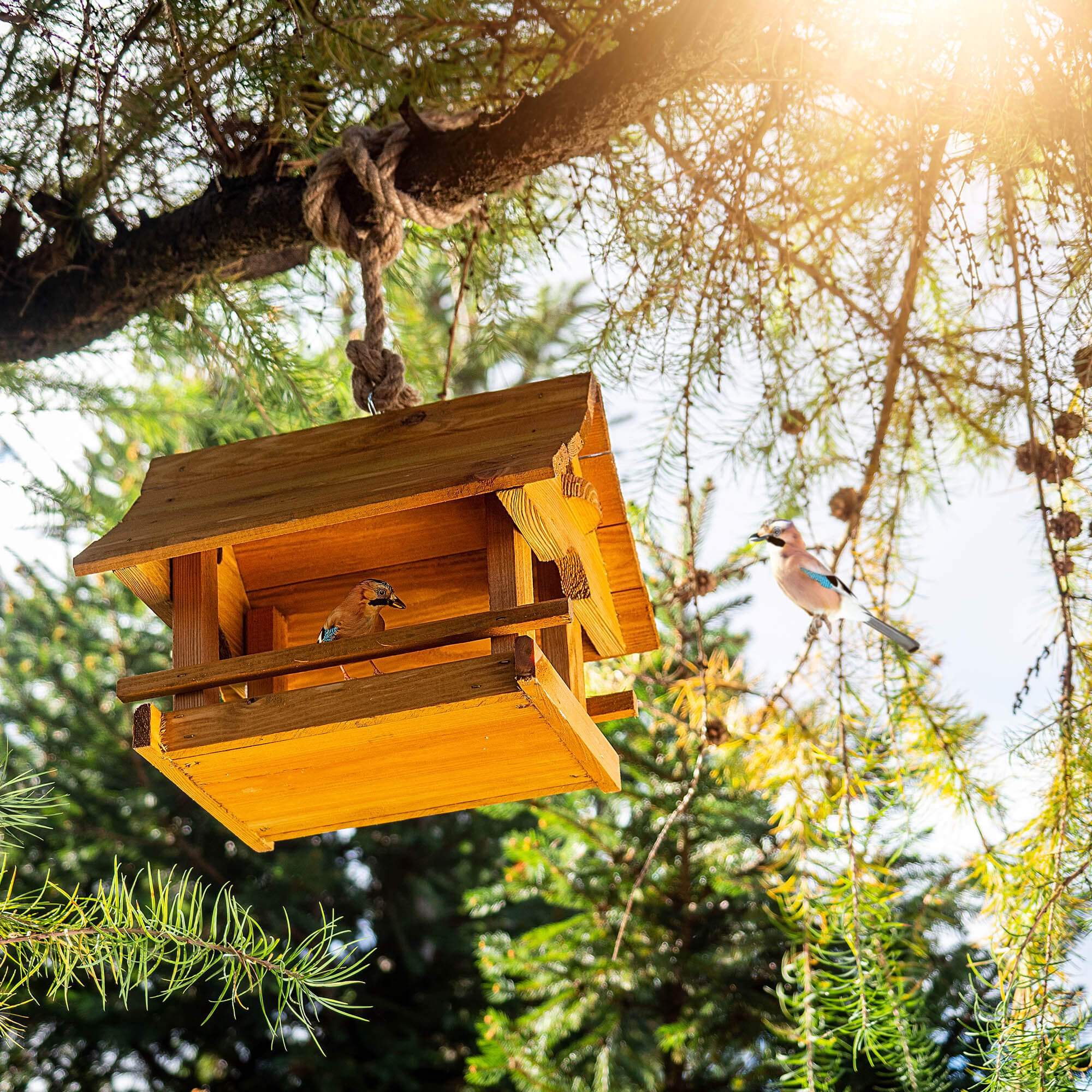 Karmnik dla ptaków Arbis domek 30 x 25 cm naturalny