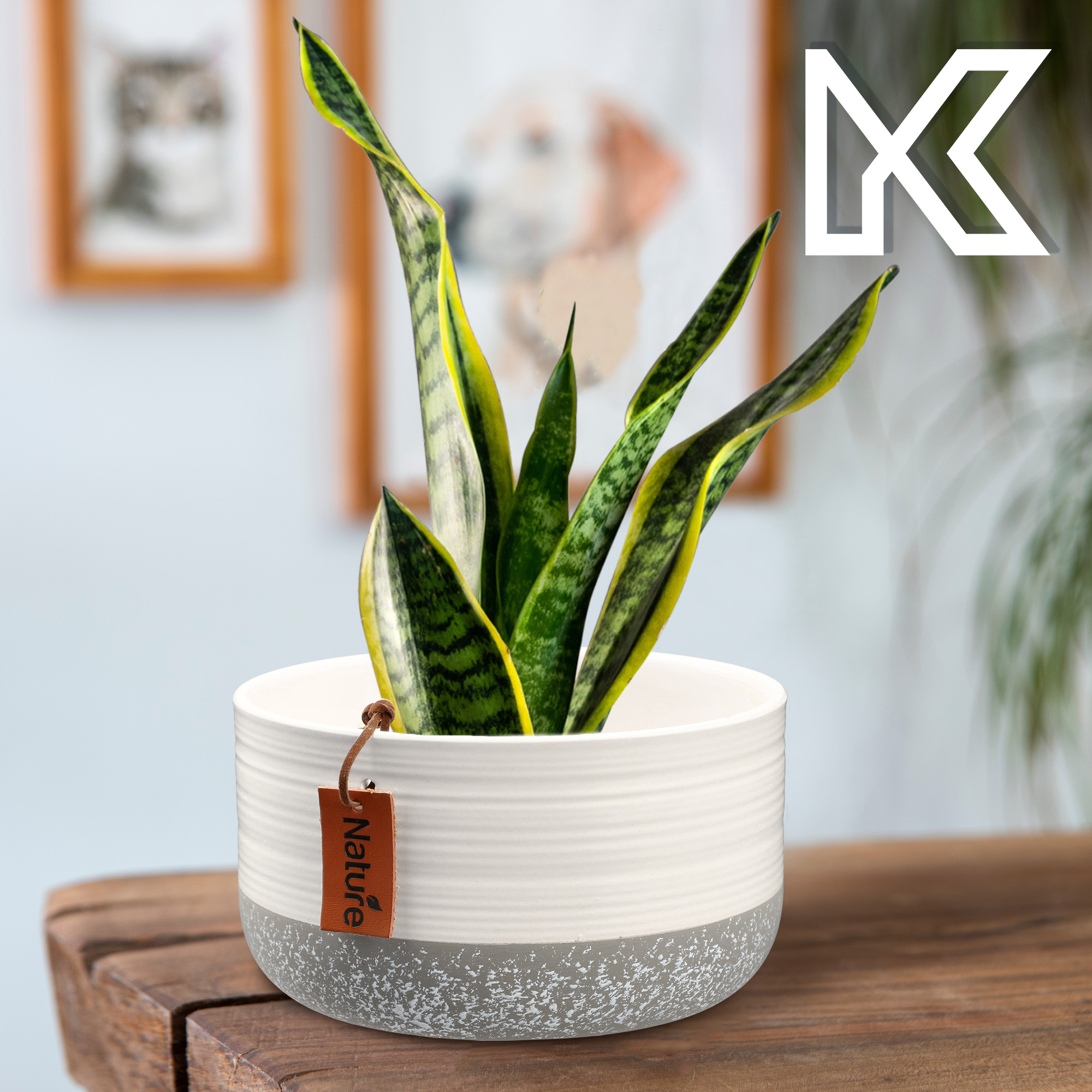Osłonka ceramiczna Pokka 9 x 15 cm, biała