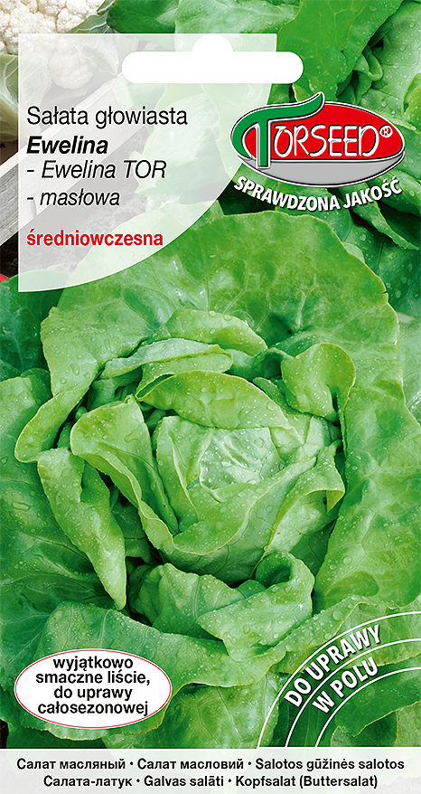 Sałata głowiasta masłowa (do uprawy w tunelach i w polu) Ewelina TOR 0,5g