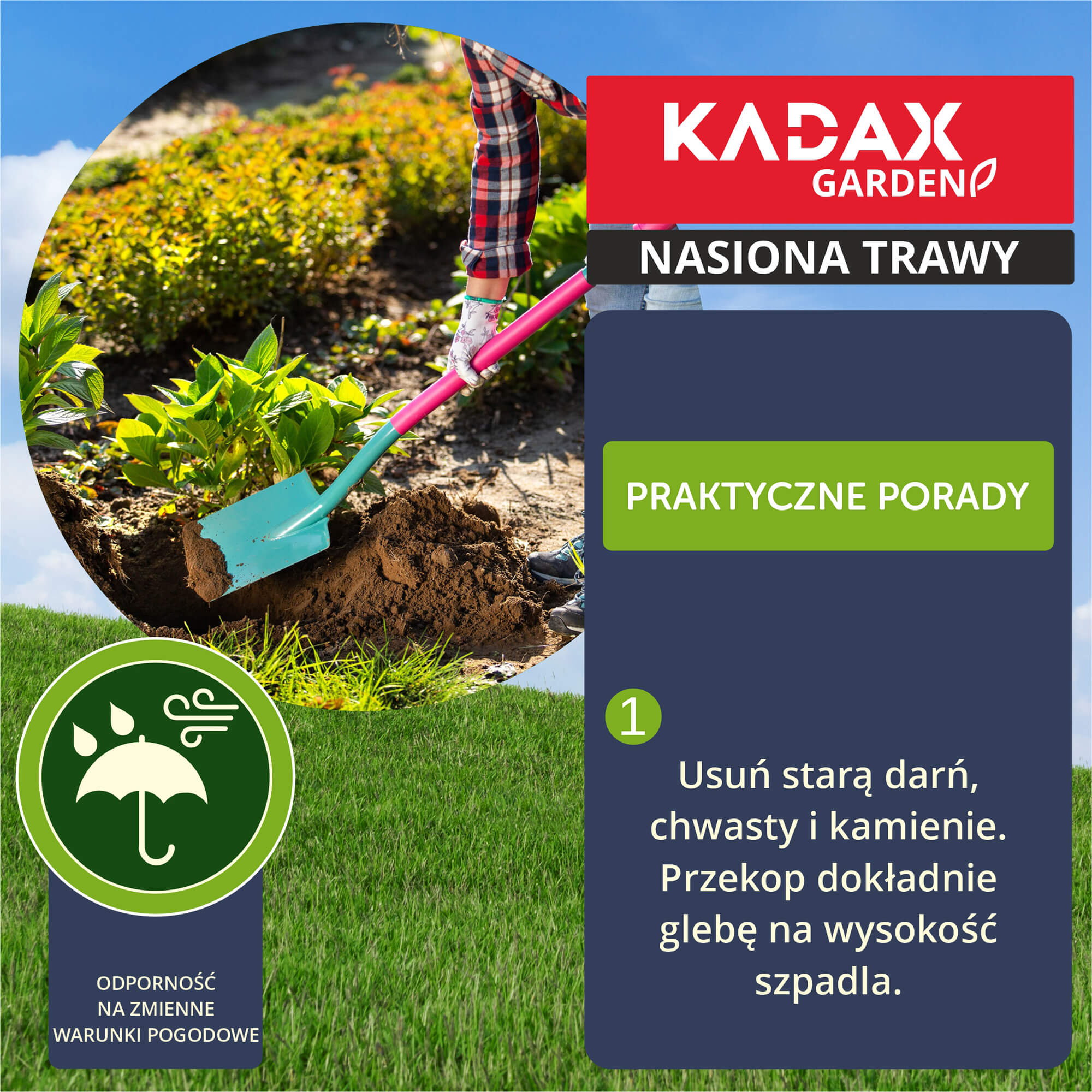 Trawa ozdobna 10 kg
