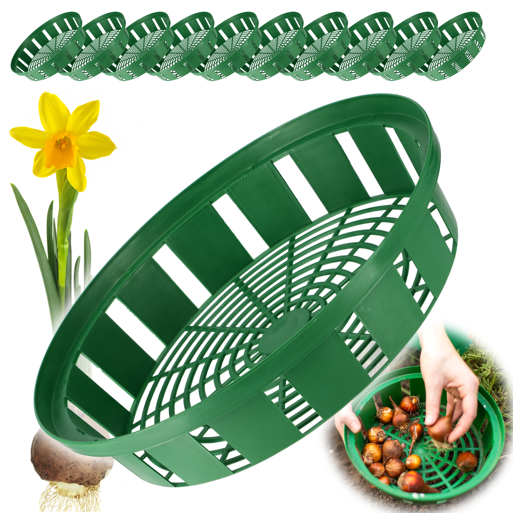 Koszyk do cebulek Julis 30 cm, 10 szt.