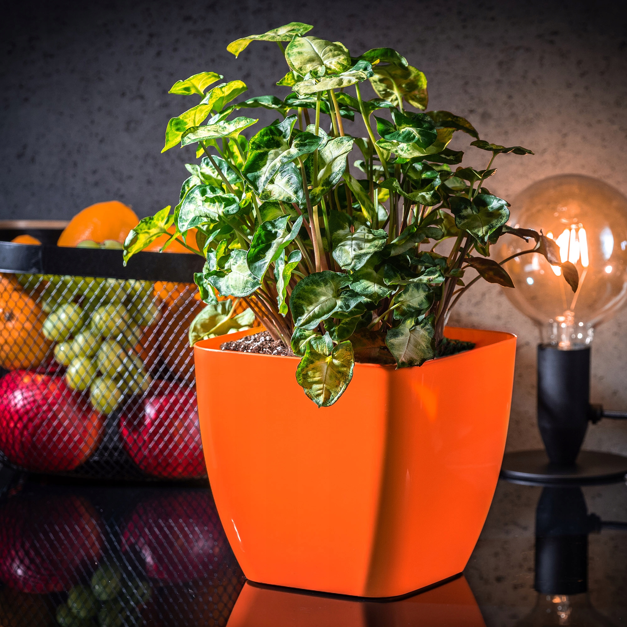 Doniczka kwadratowa Borgo 17 cm, pomarańczowa