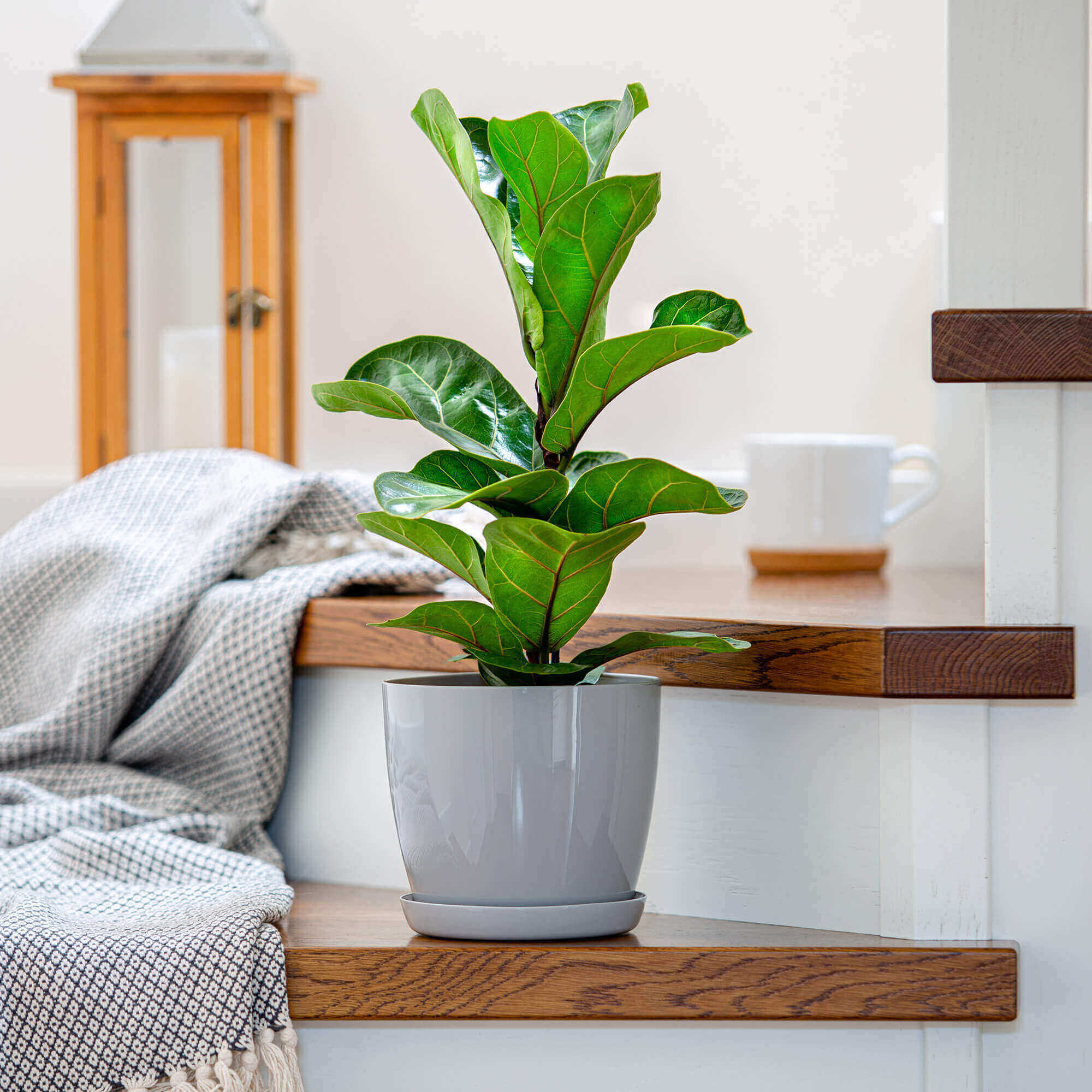 Doniczka Agen z podstawką 18 cm, szara