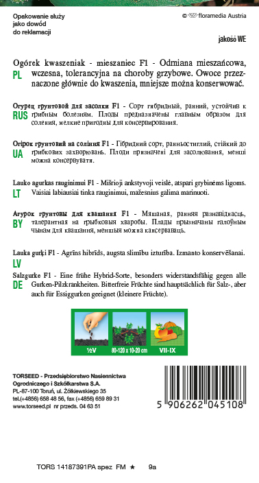 Ogórek gruntowy kwaszeniak Julian F1 3g