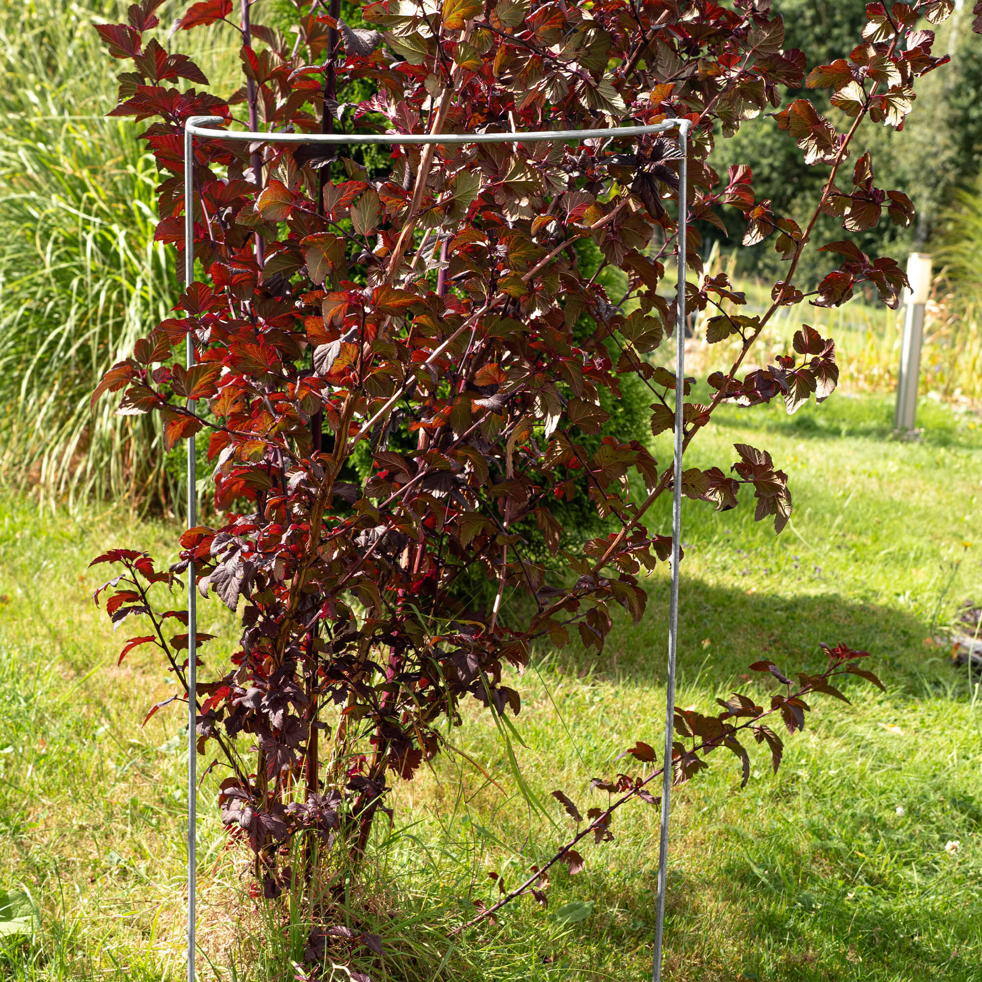 Podpora do roślin metalowa 100 x 38 cm